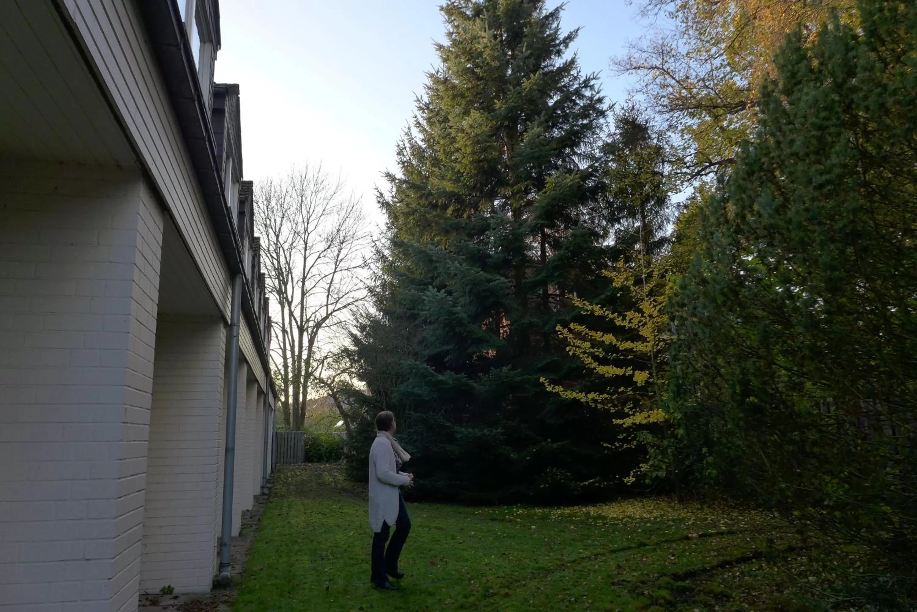Garden in Hotel Heidpark