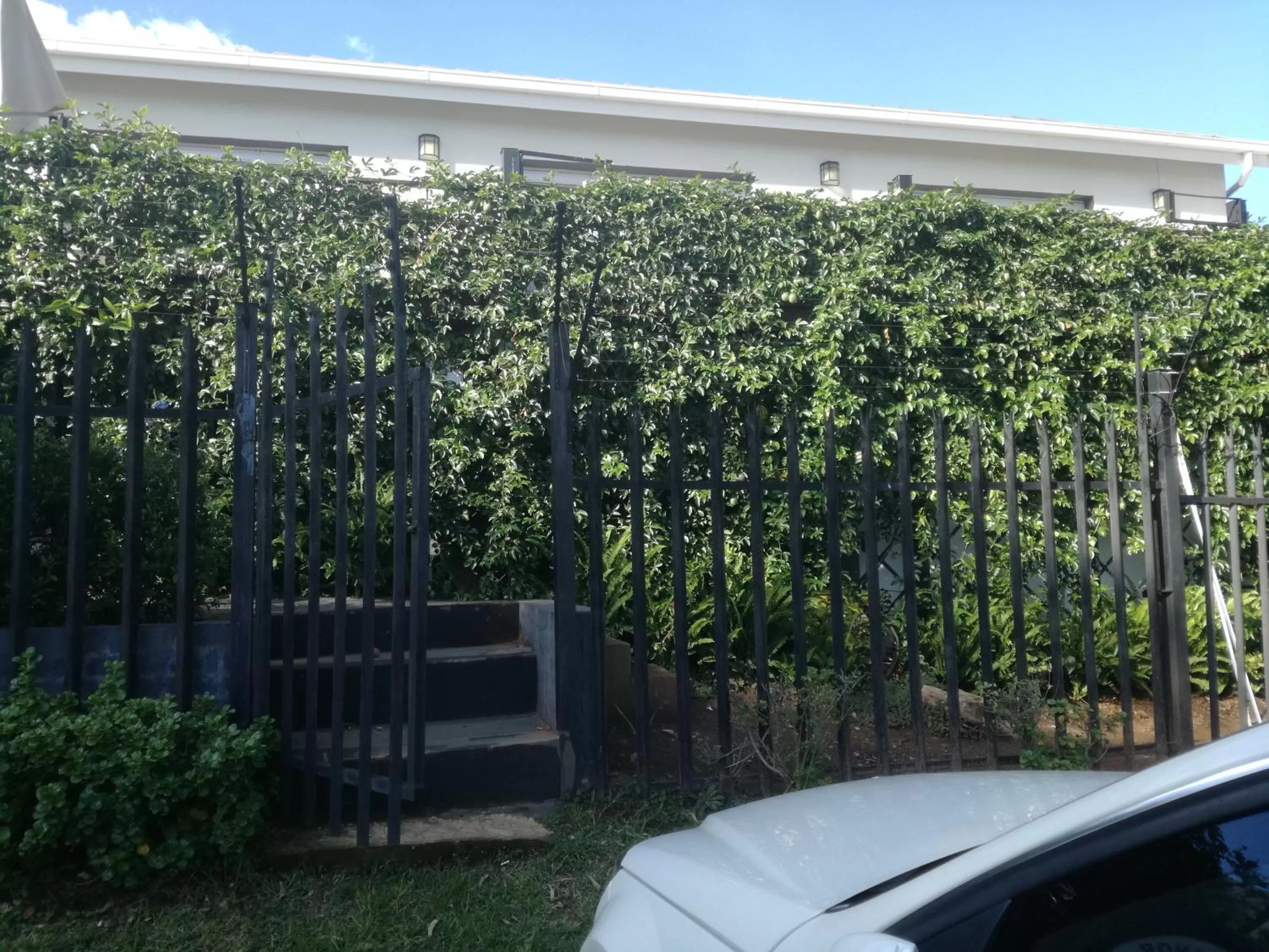 Garden in Bri-Shel Manor B&B