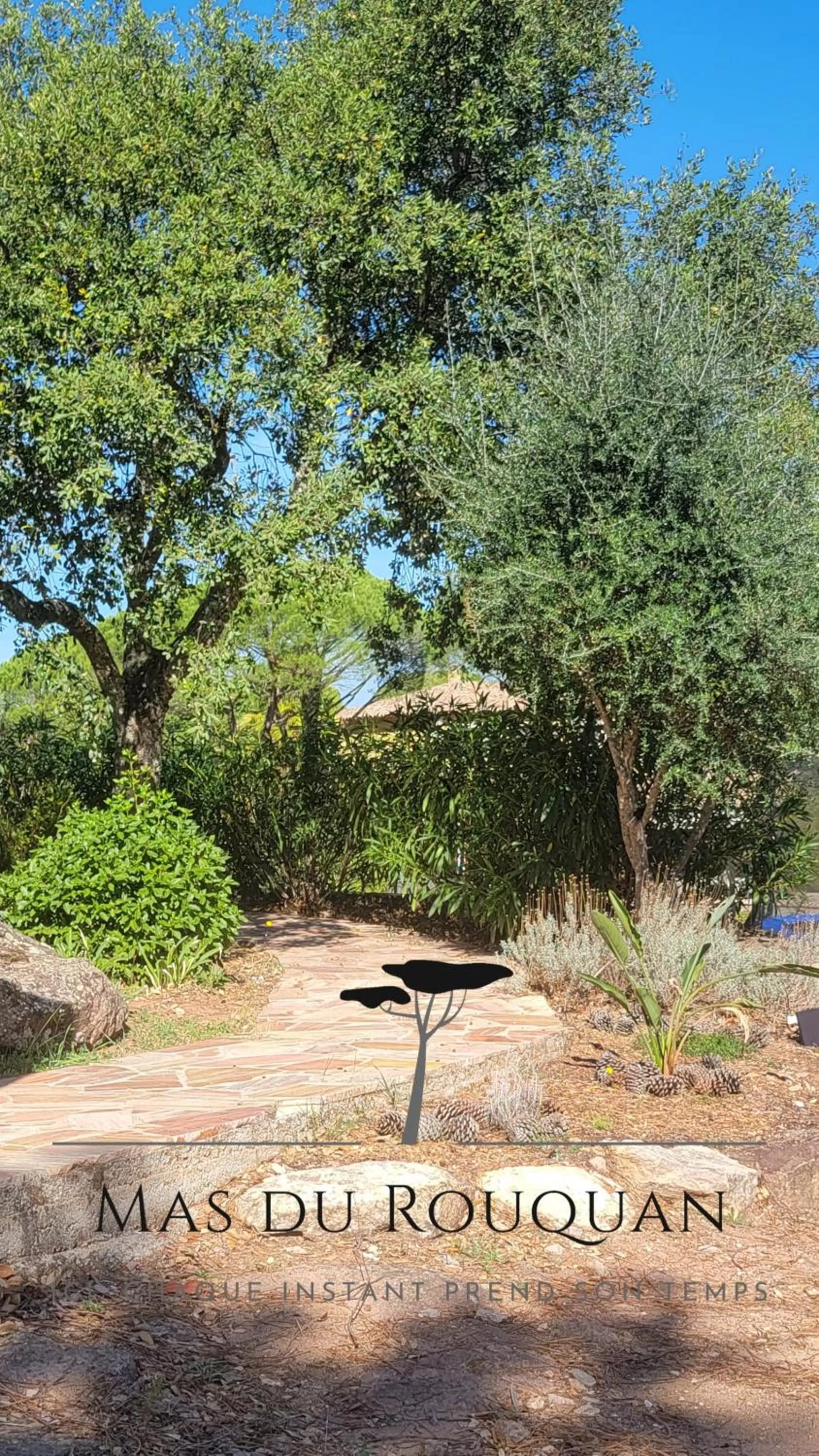 Natural landscape in Le Mas du Rouquan