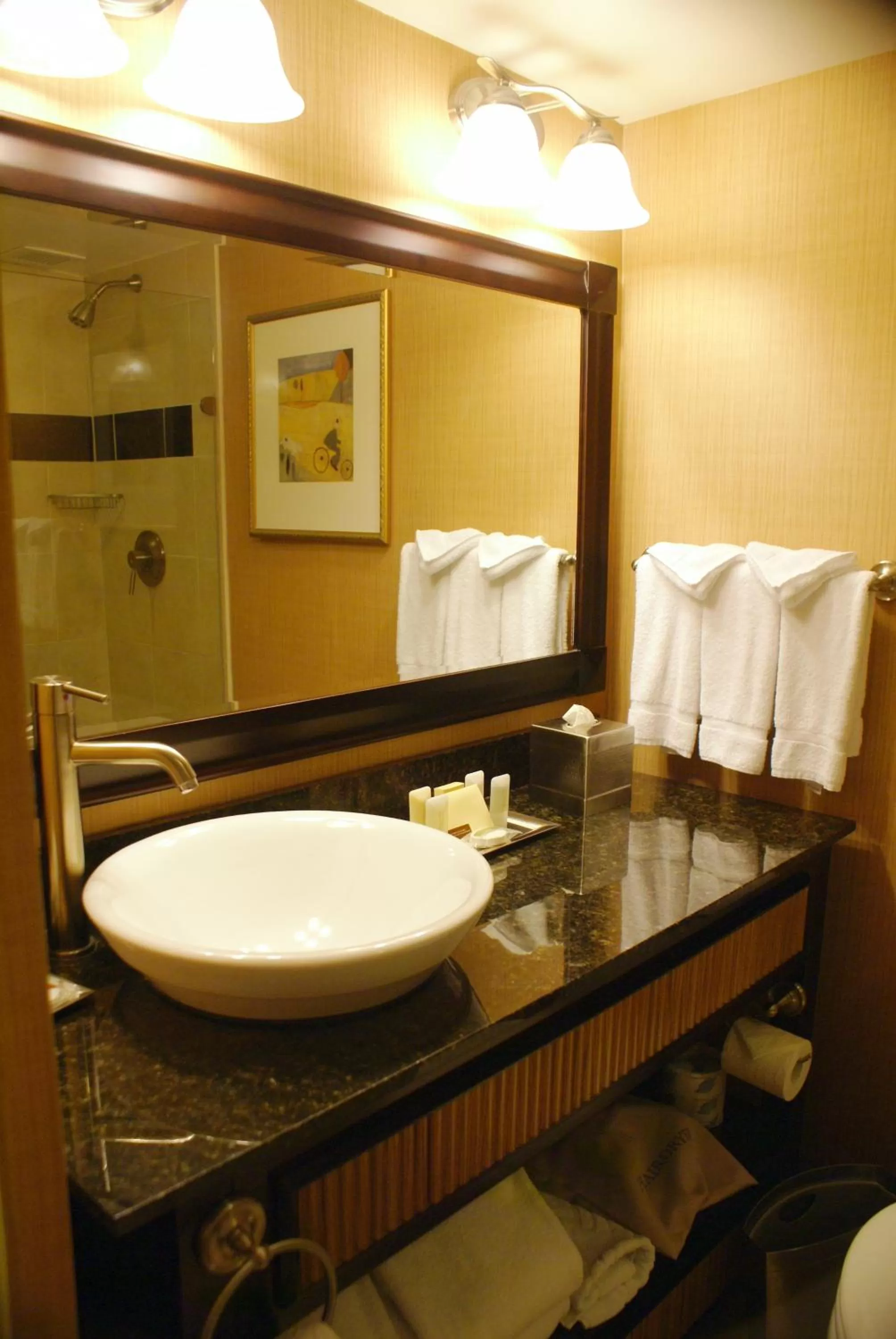 Bathroom in Wyndham Grand Pittsburgh