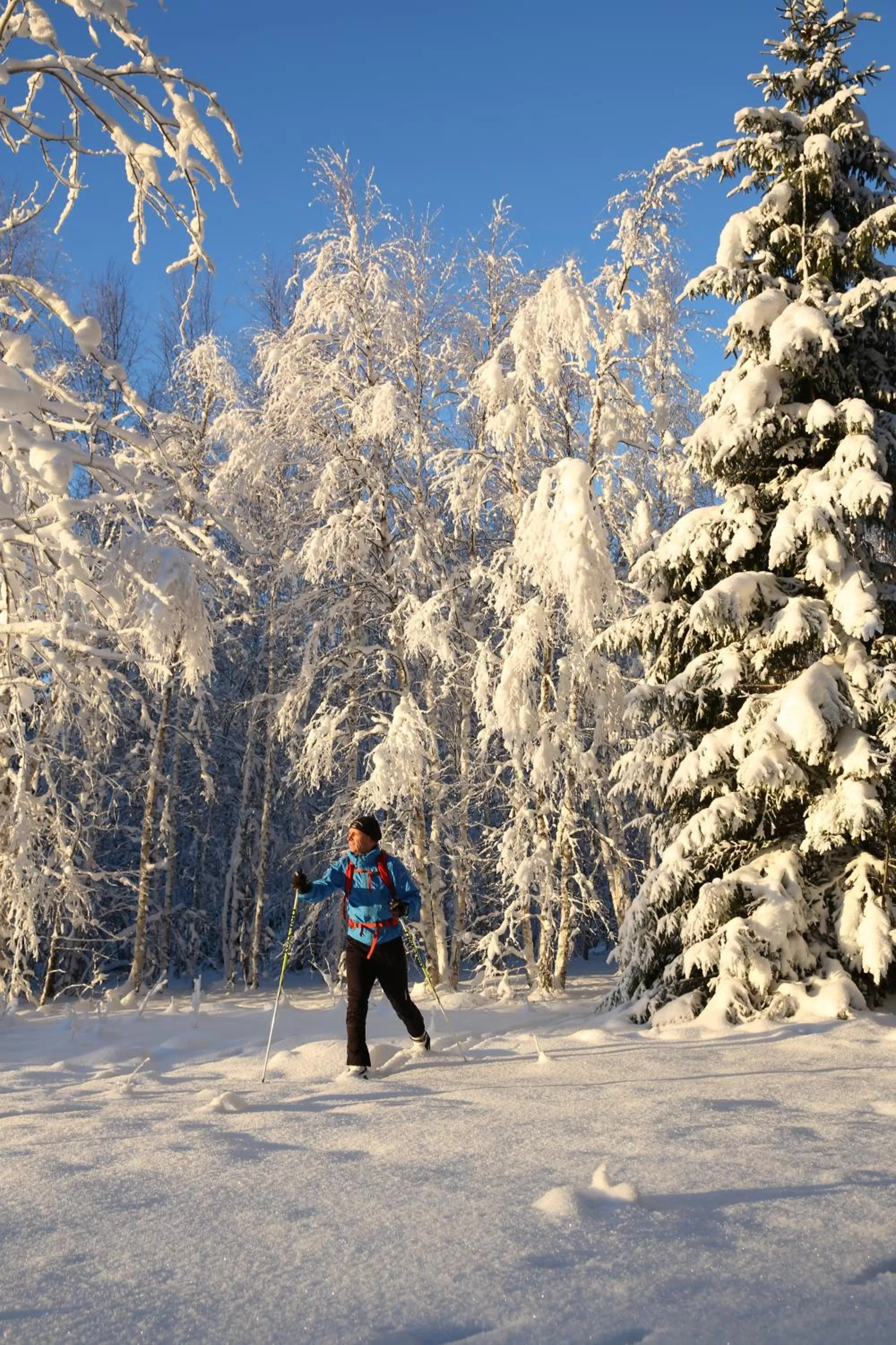 Day, Winter in Sikfors Herrgård