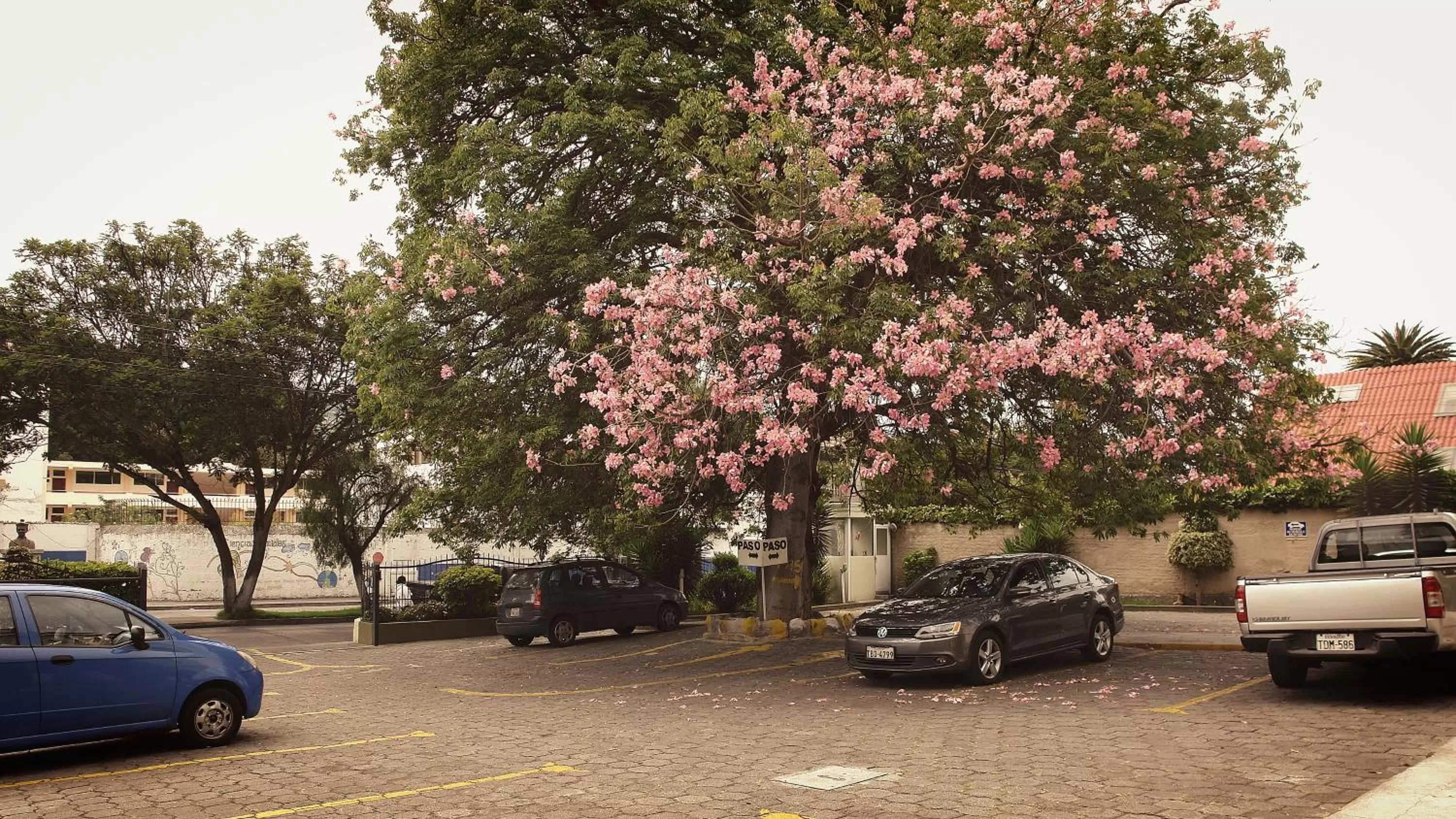 Off site, Neighborhood in Hotel Florida