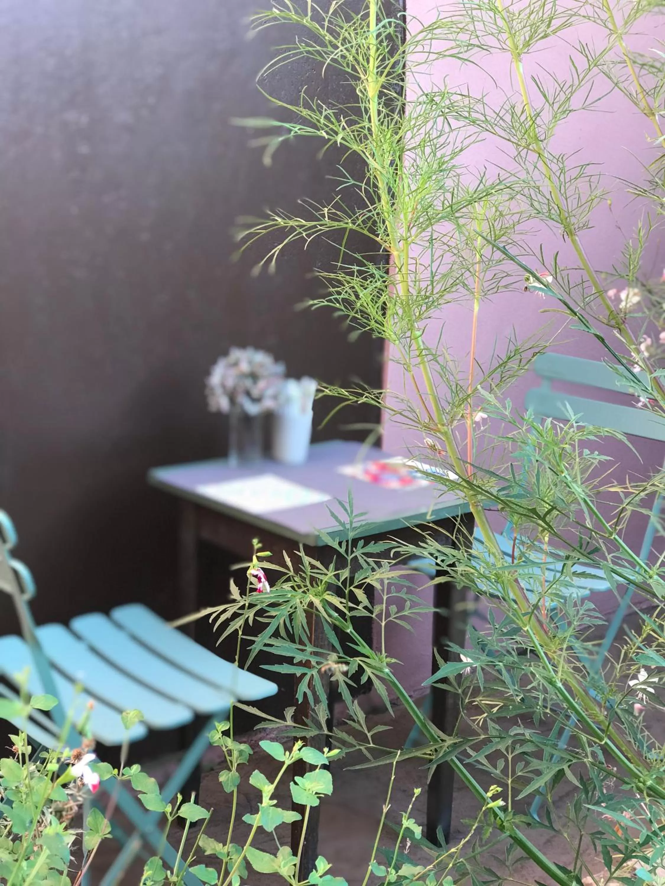 Ti vengo a cercare B&B