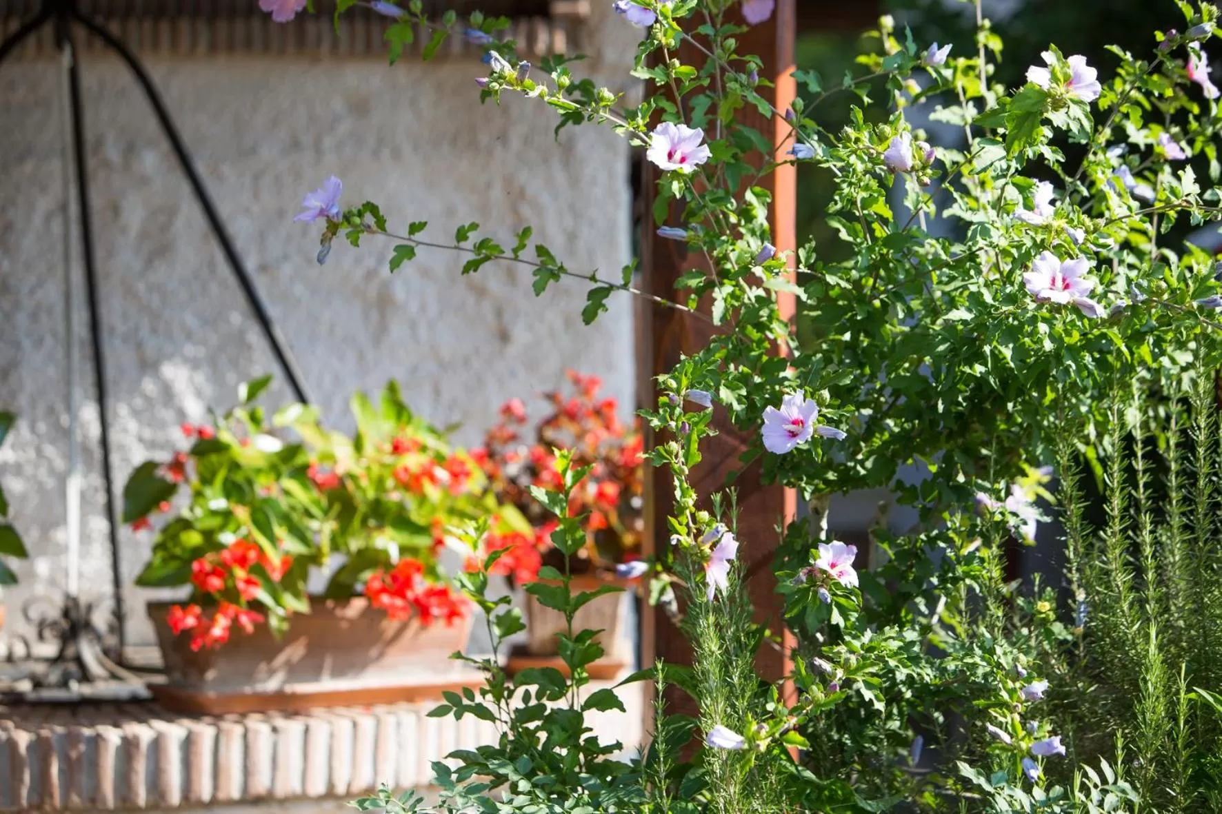 Garden in Antico Casale Spezia Pelagalli