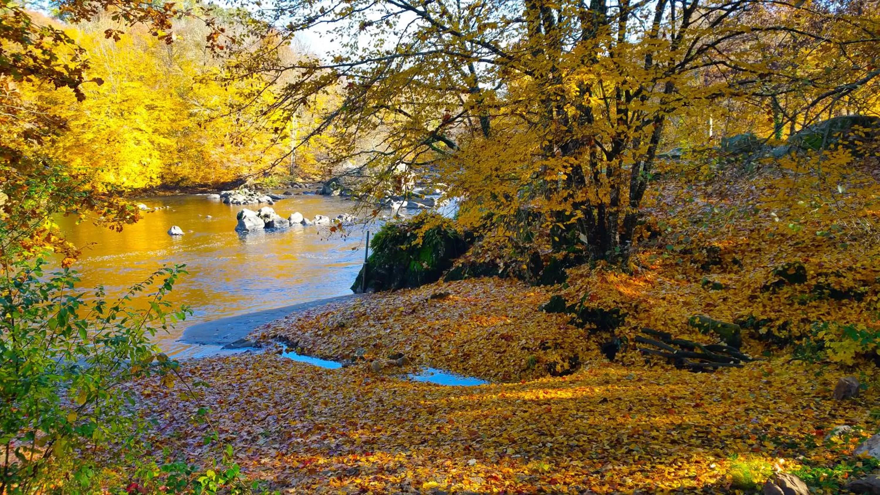 Beach in L'Élassier