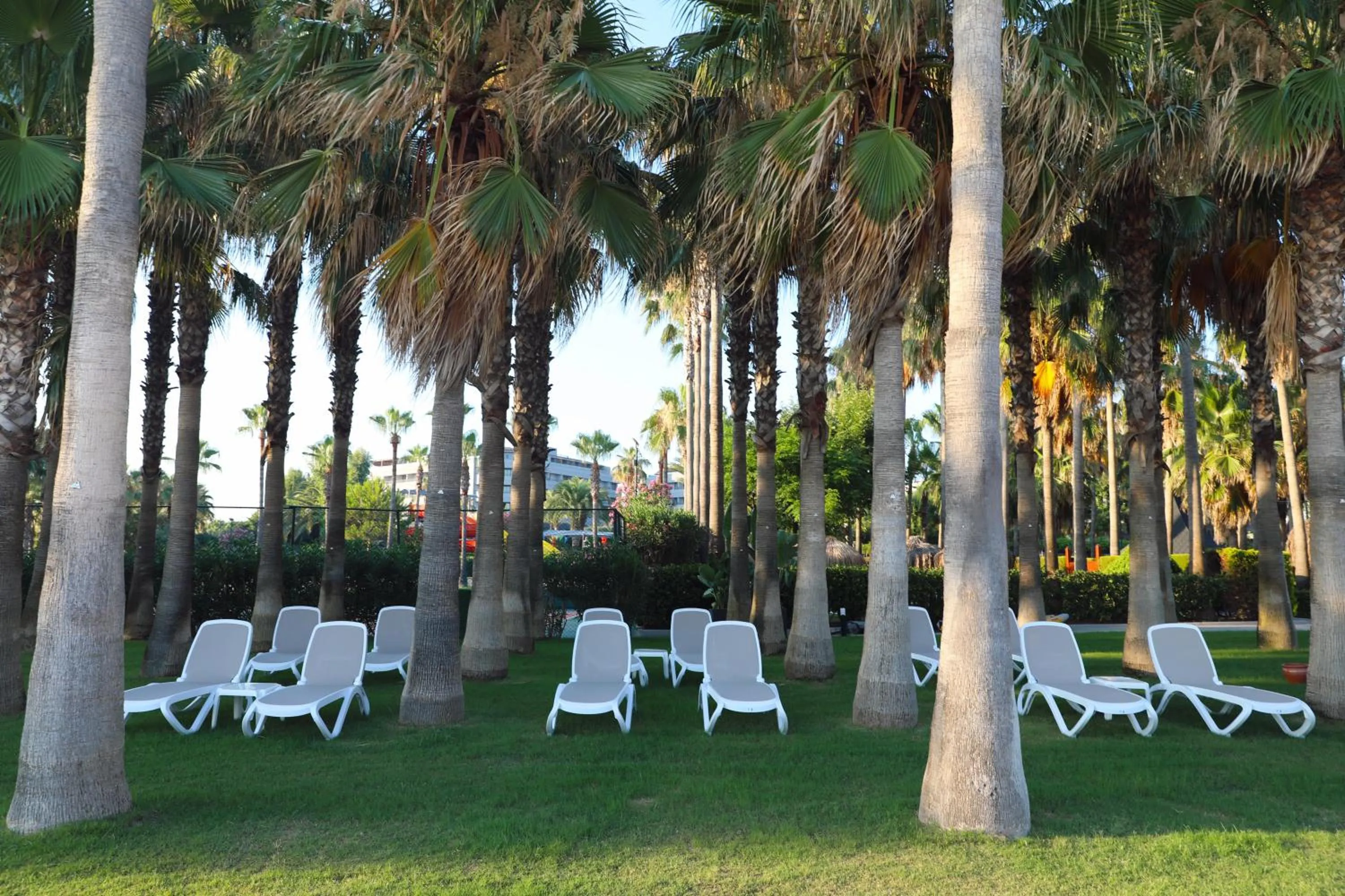 Beach in Miramare Beach Hotel - Ultra All Inclusive
