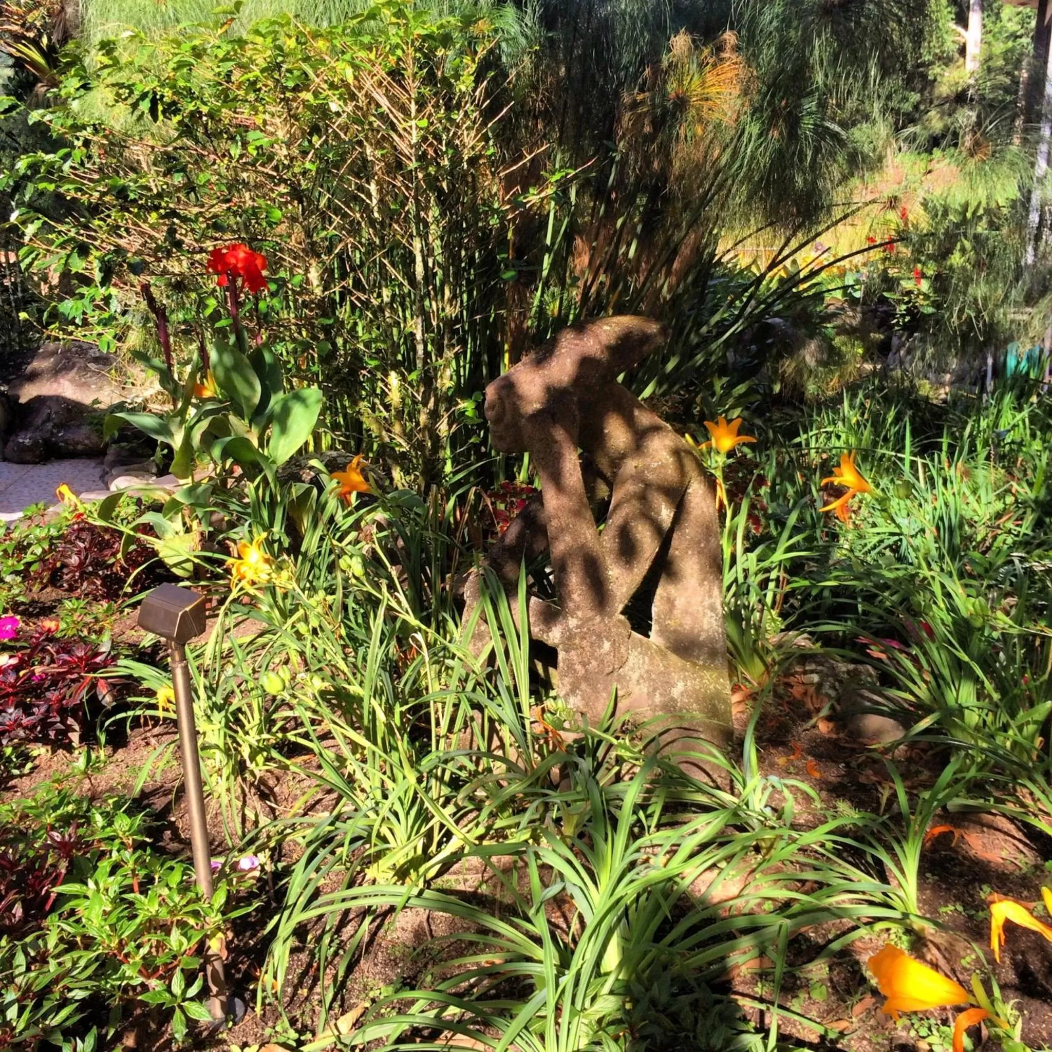 Garden in The Inn at Palo Alto