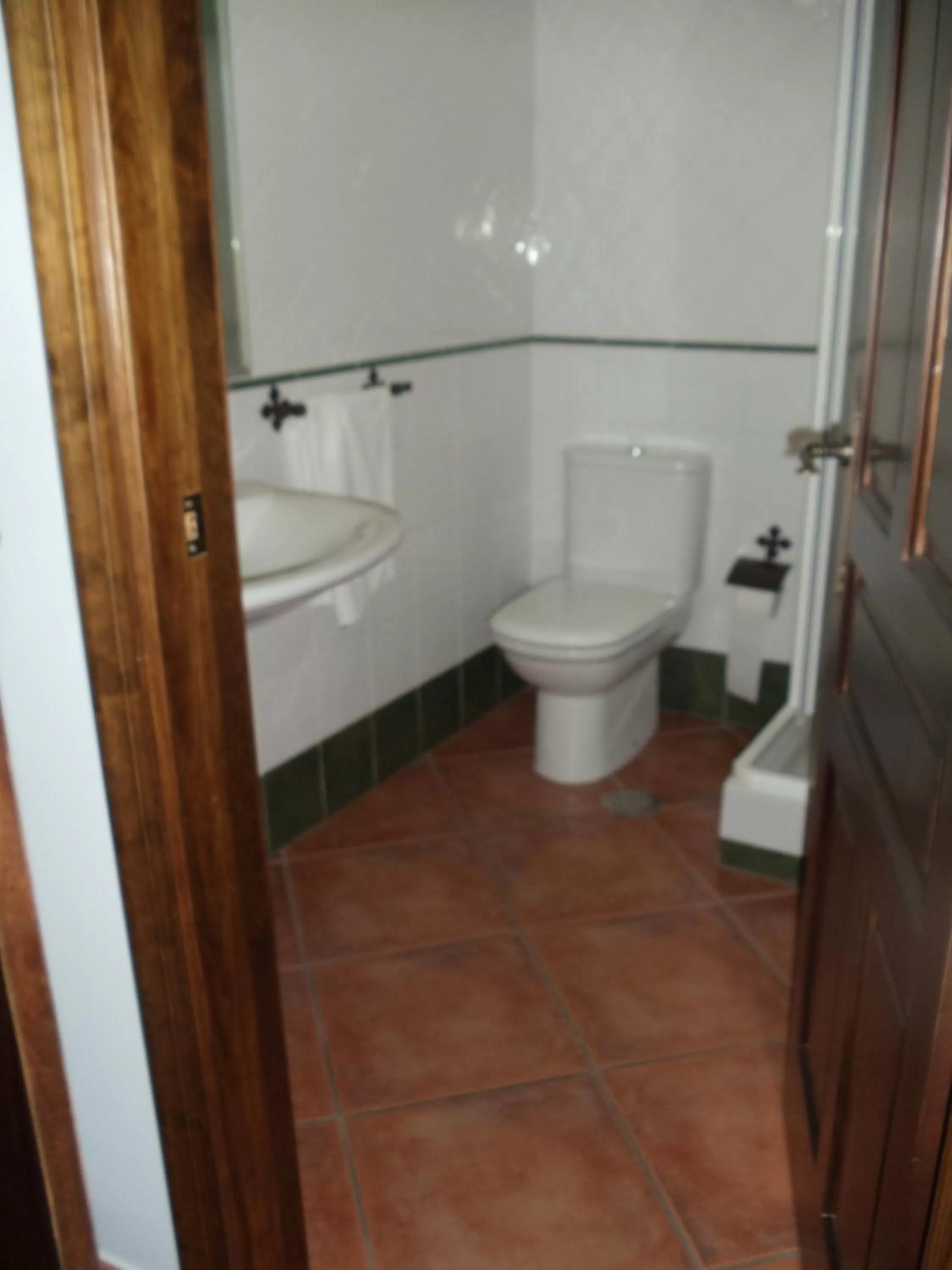 Bathroom in Hotel Plateros