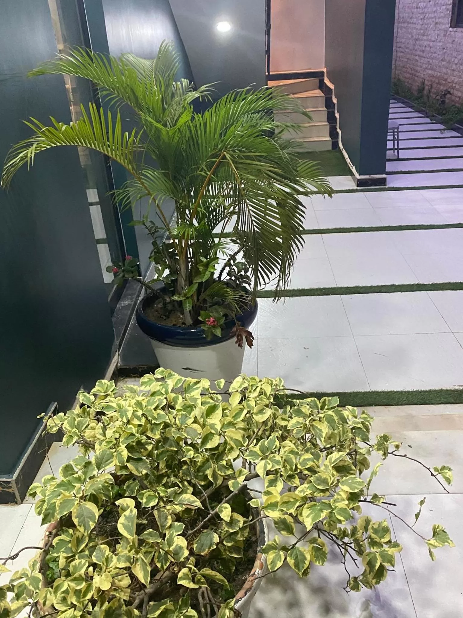 Property building in MUSE Boutique Hotel