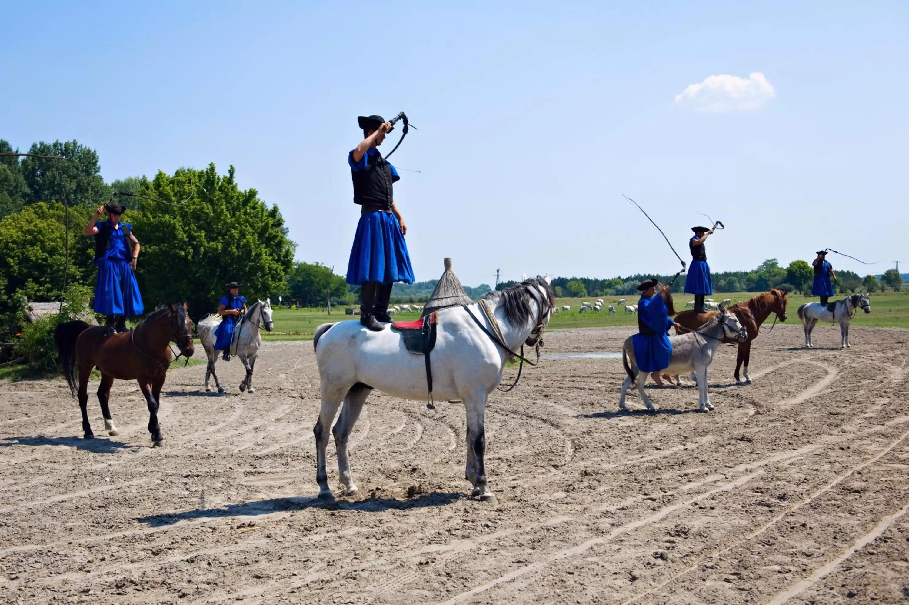 Day, Horseback Riding in Varga Tanya Hotel