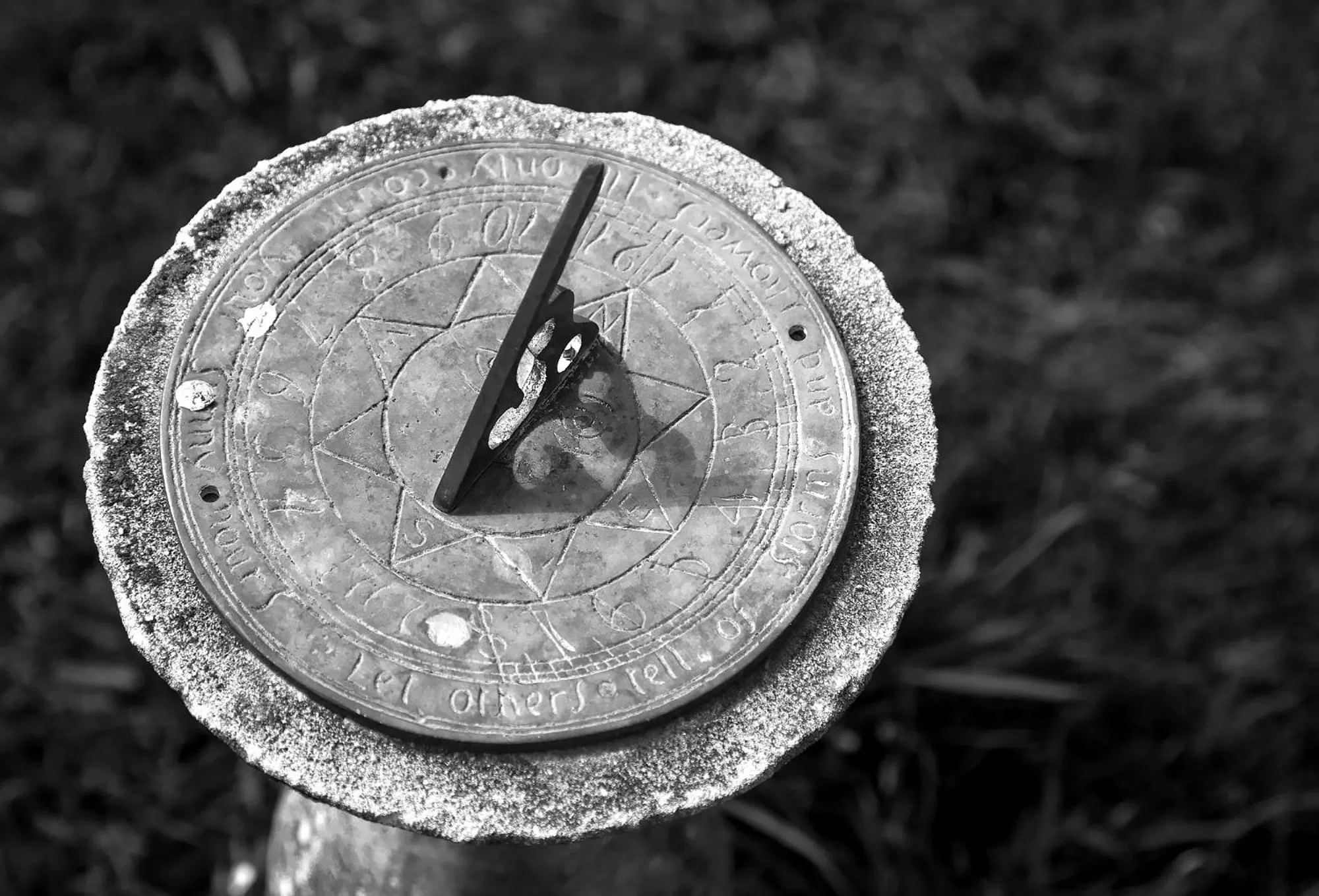 Garden in Worth House Bed and Breakfast