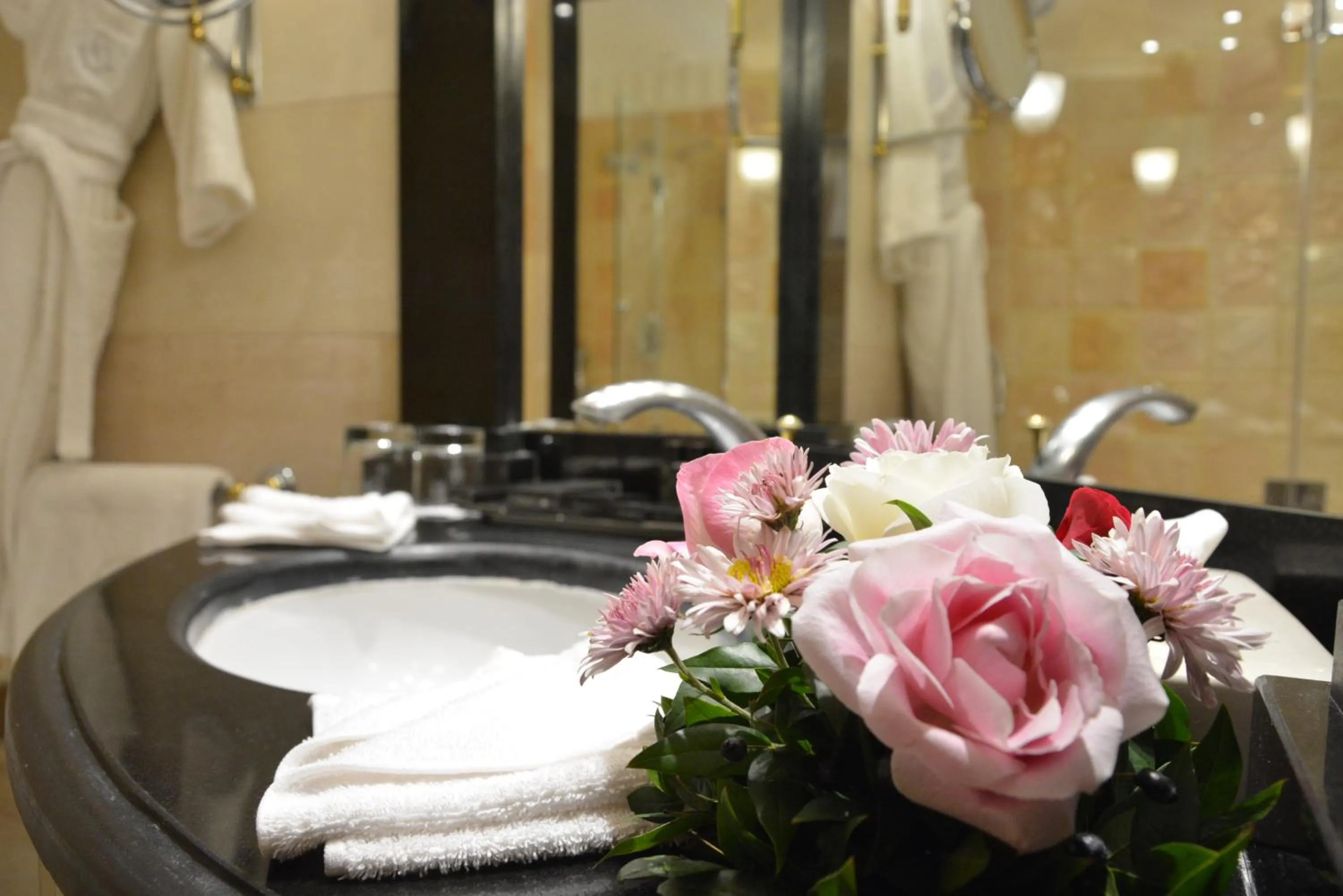 Bathroom in Golden Carthage Hotel Tunis