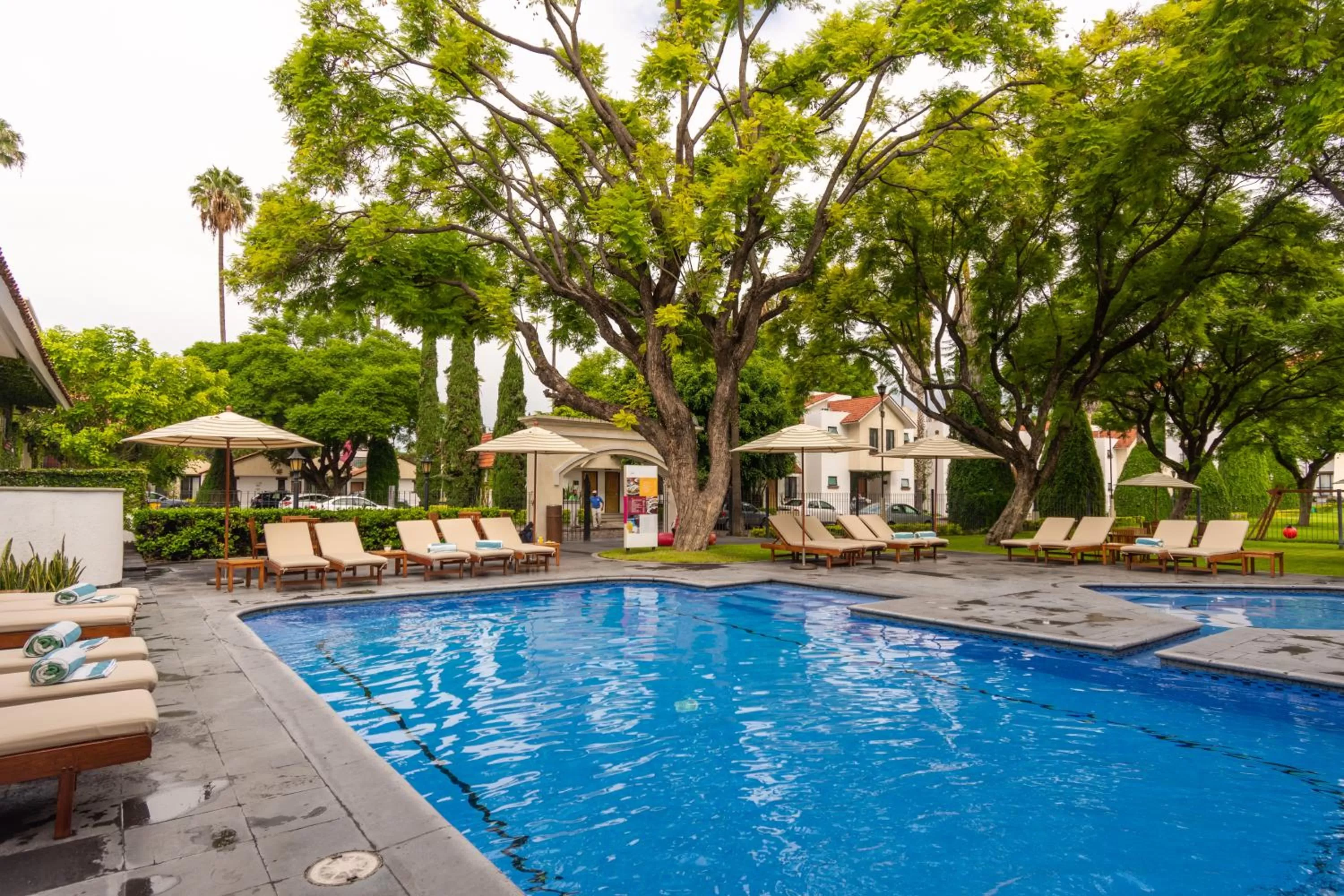 Pool view in Hotel Flamingo Inn