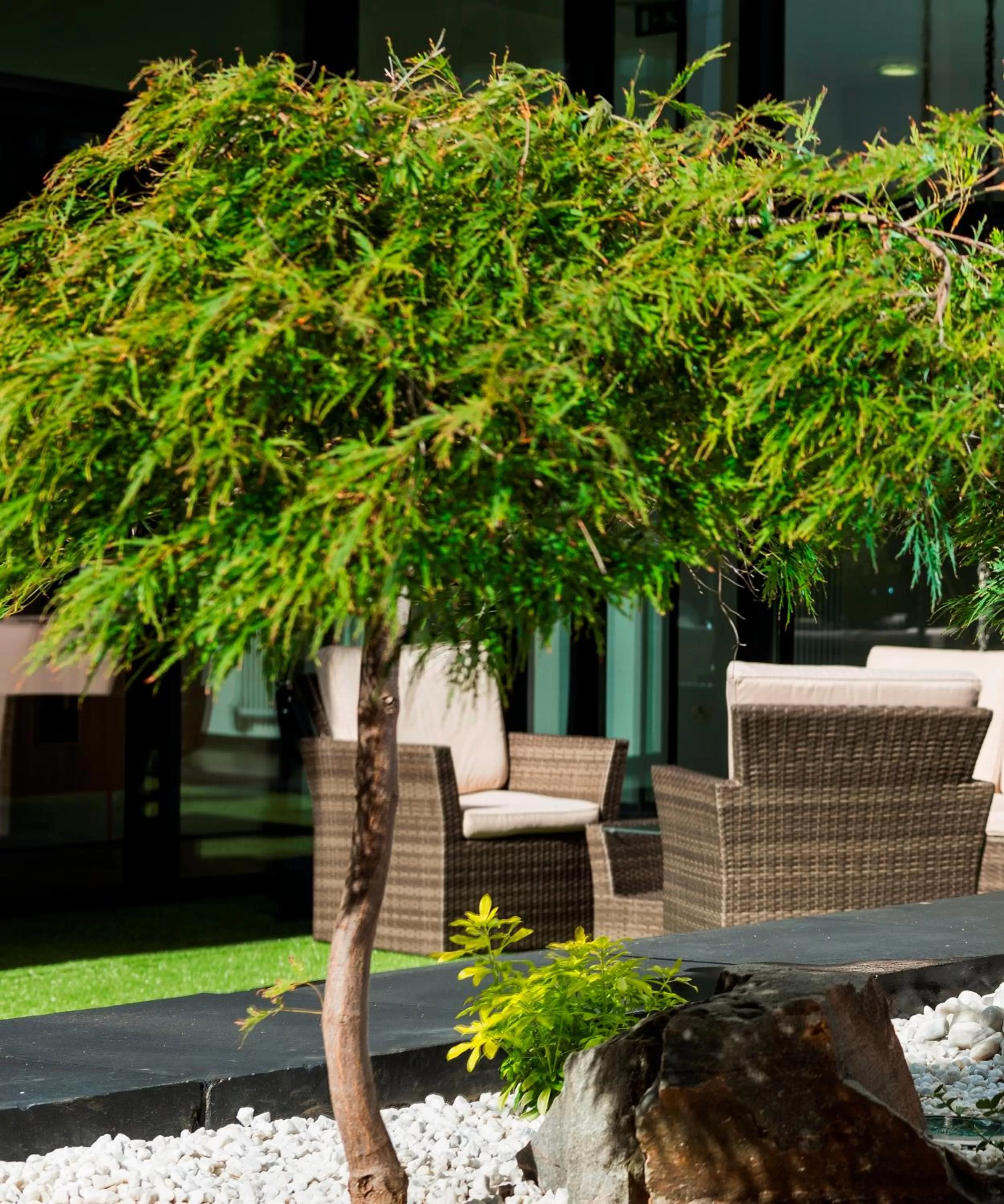 Garden in Park Inn by Radisson Aberdeen