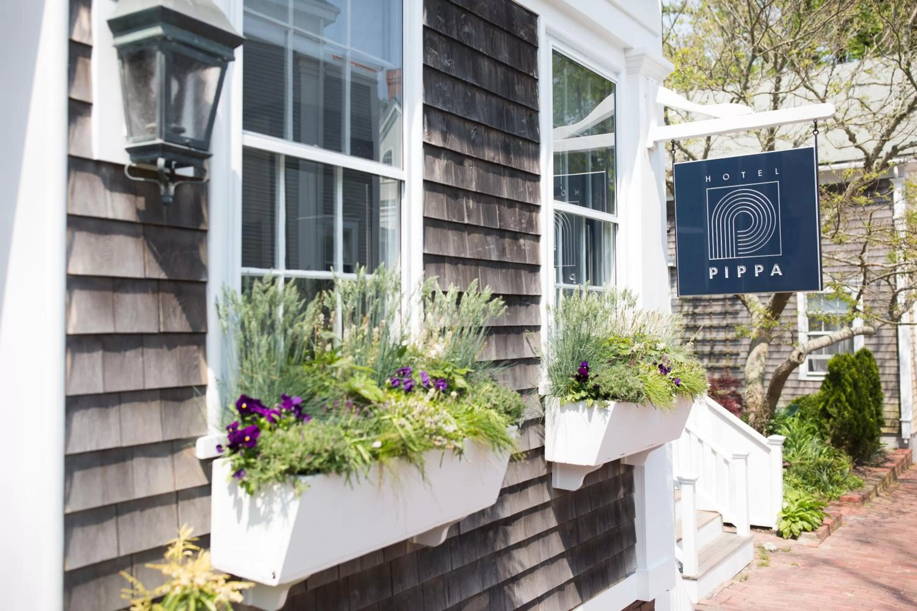 Property building in Hotel Pippa