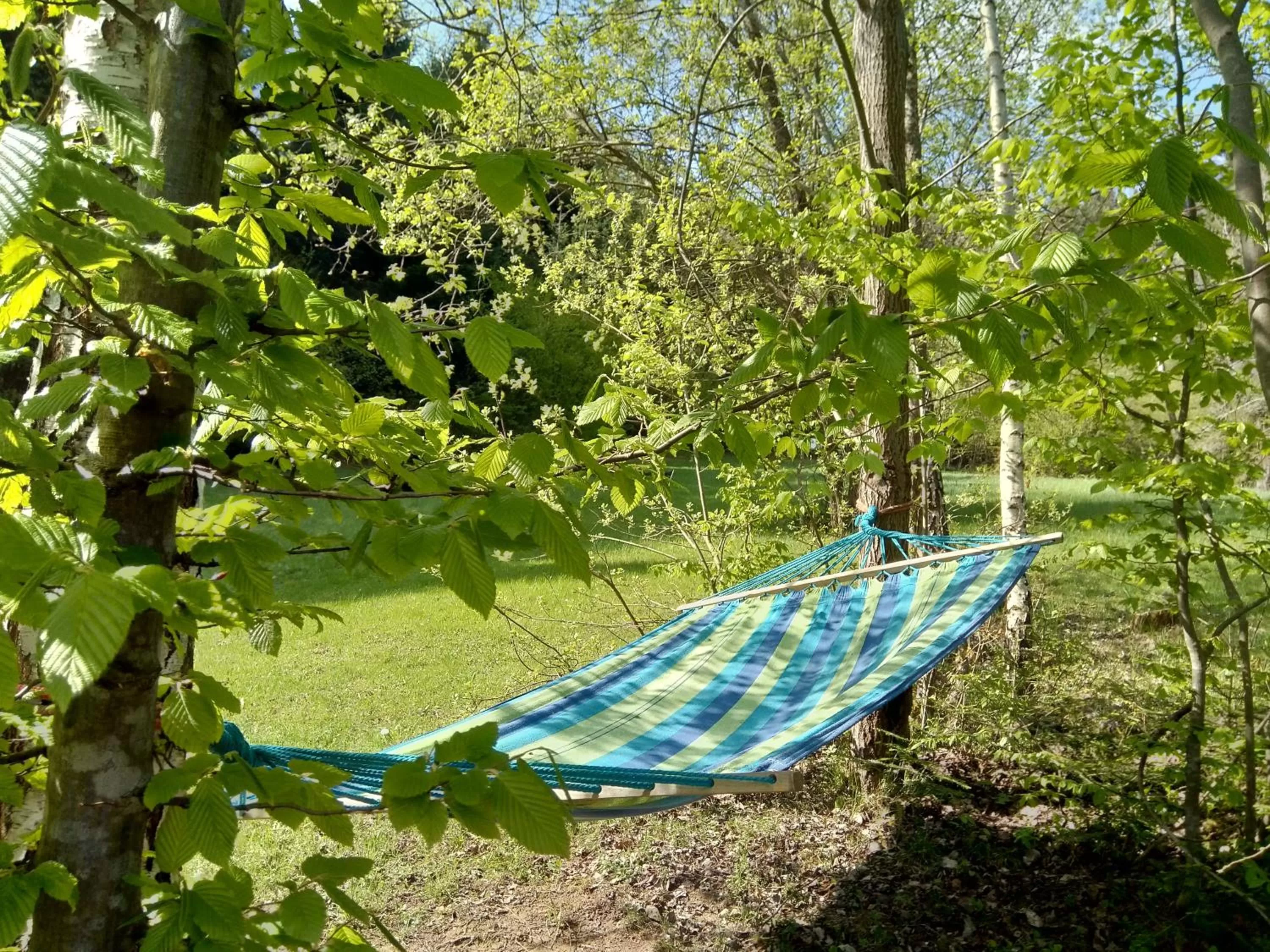 Activities in Gościniec Pięciu Stawów