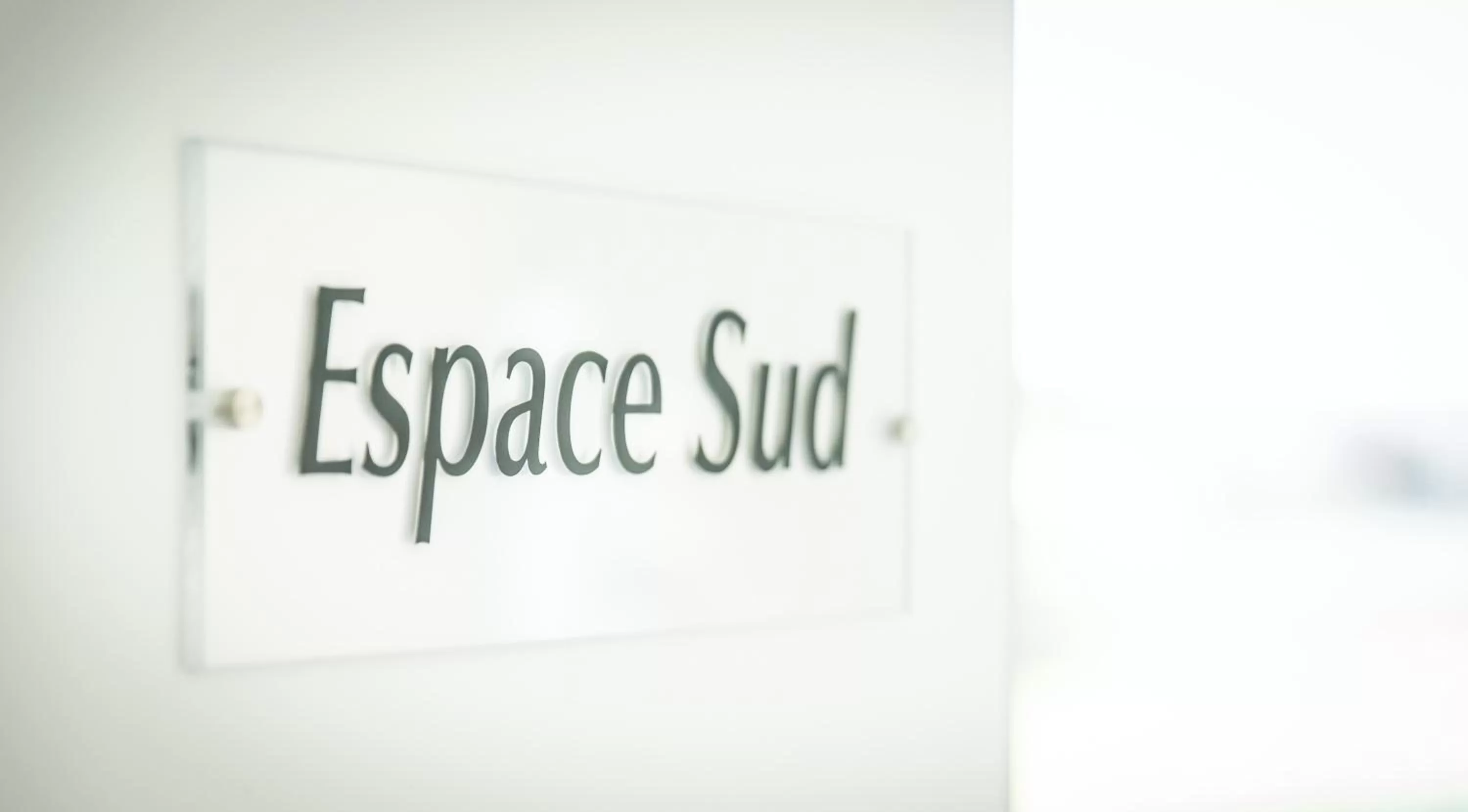 Business facilities in Hotel Ambotel