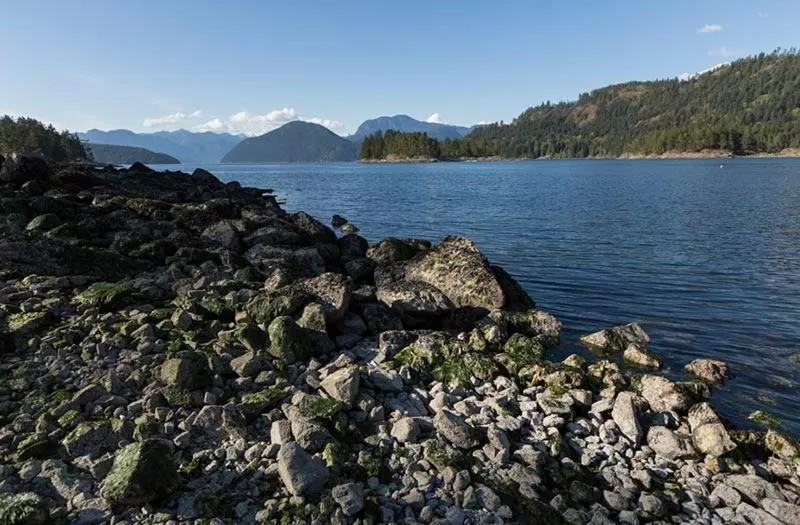 Backeddy Resort and Marina