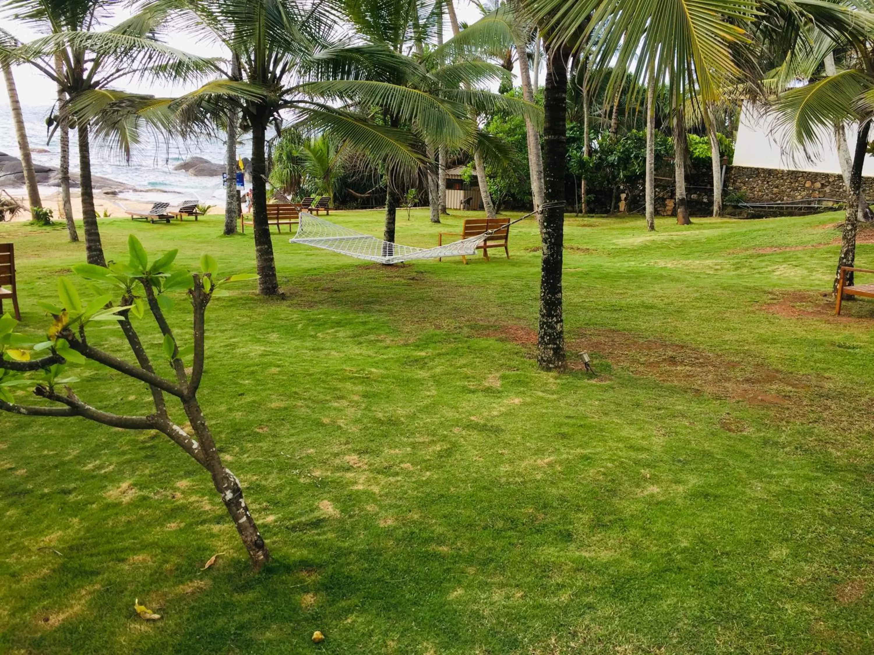 Garden in R Degrees Boutique Hotel & Spa