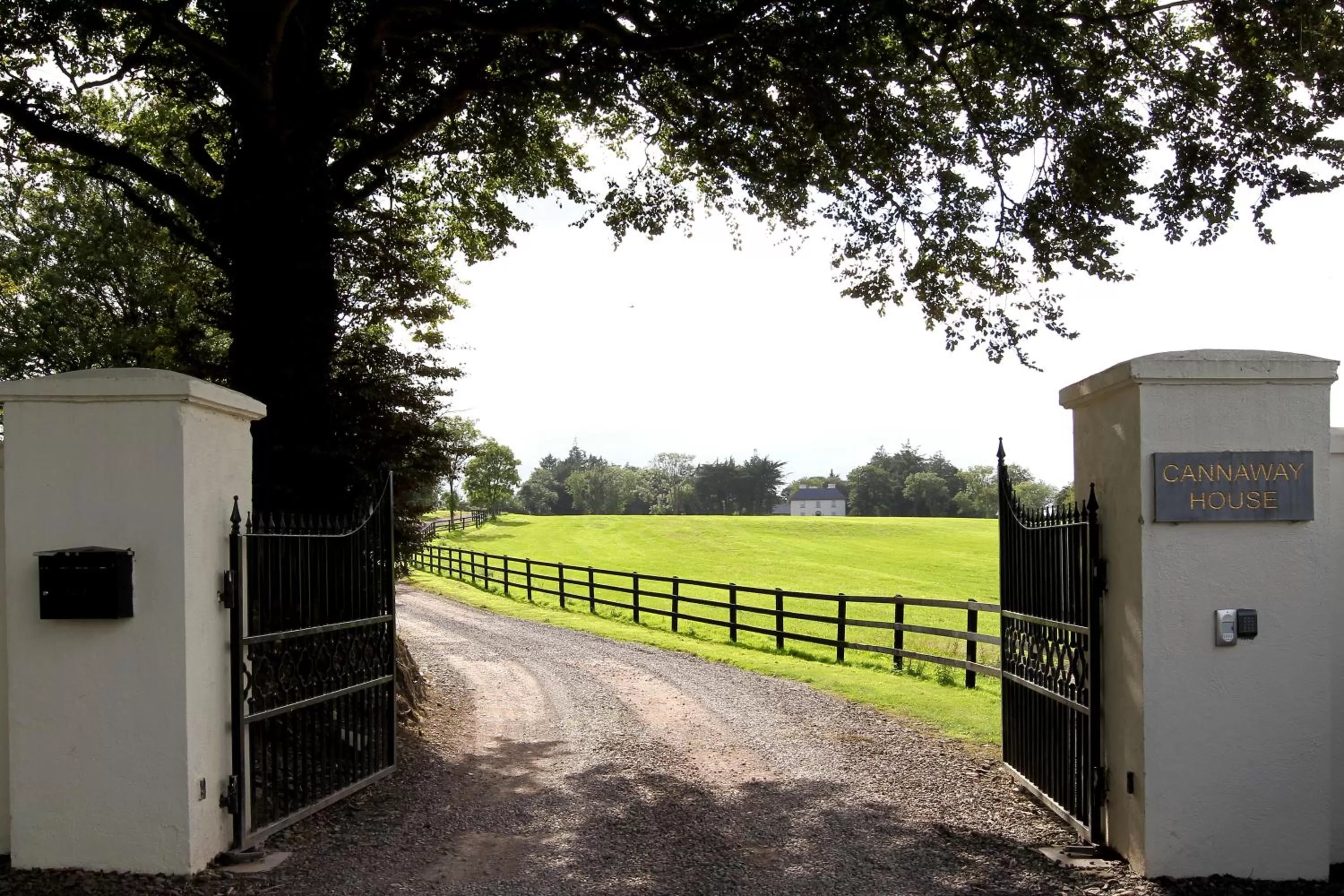 Day in Cannaway House B&B