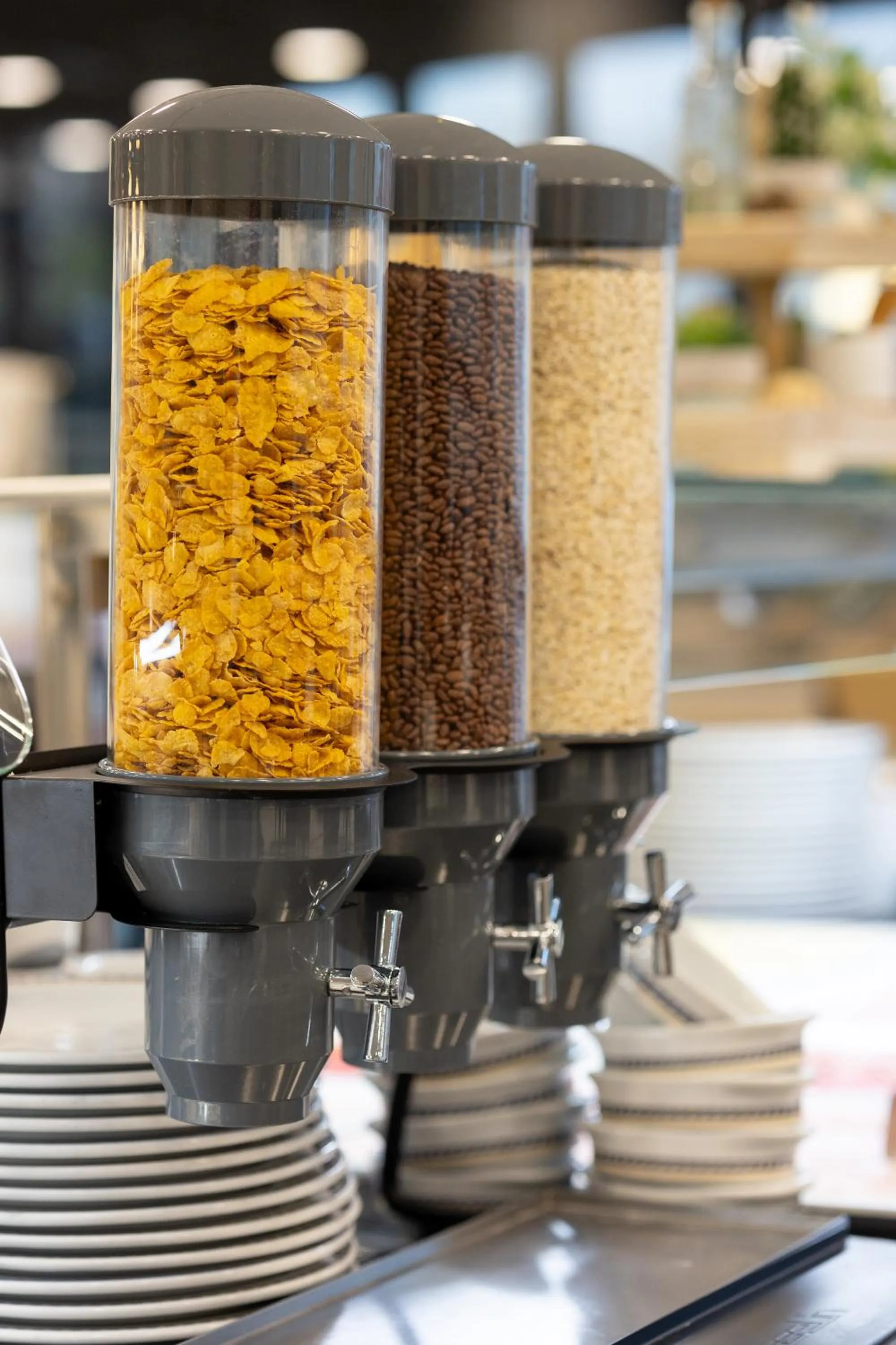 Food in Hotel Cibeles Playa