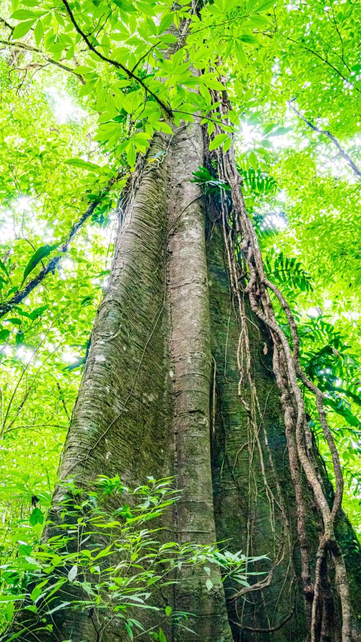 Property building, Natural Landscape in Agutipaca Bungalows