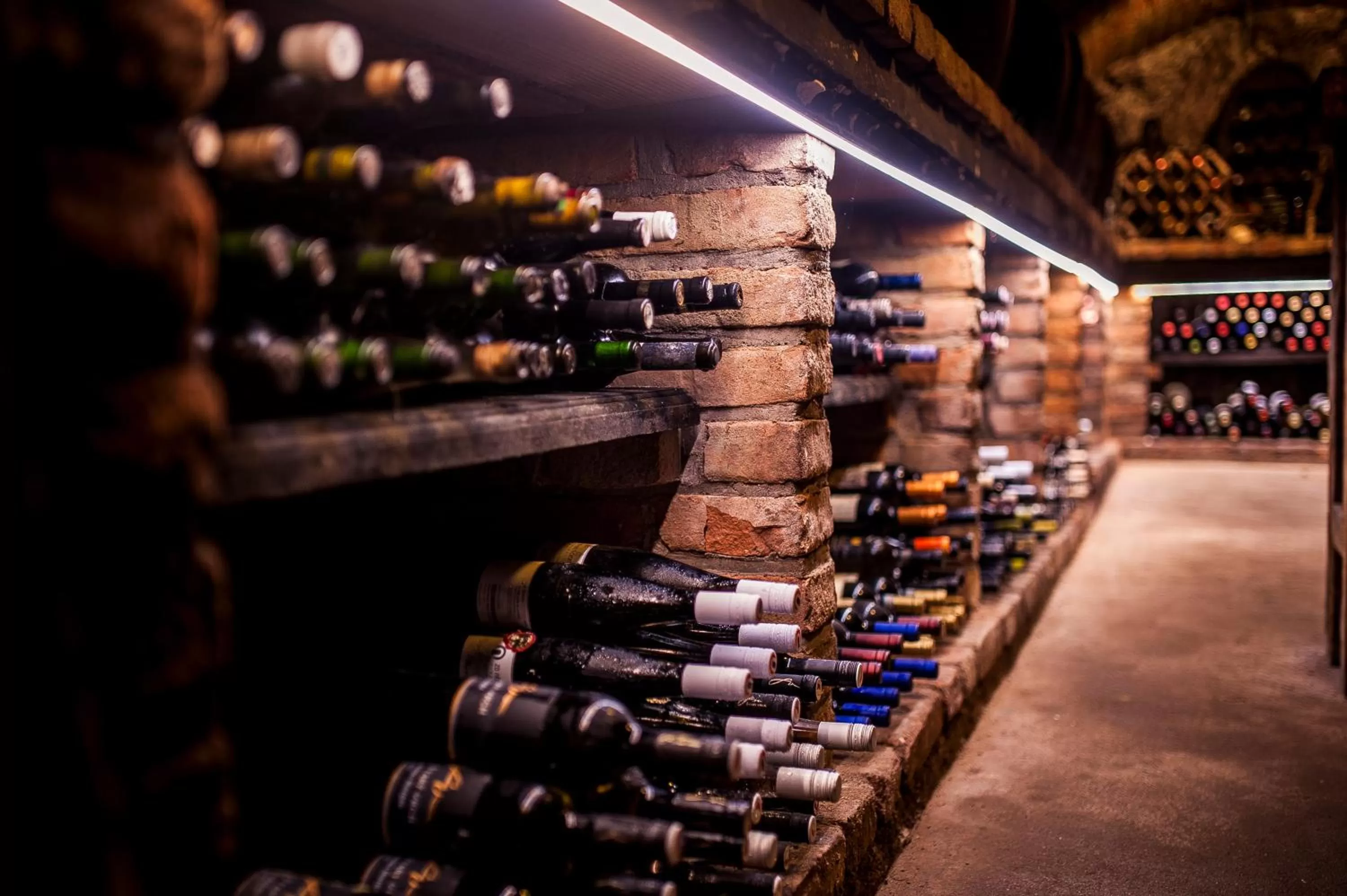 Entertainment, Lounge/Bar in Boutique Hotel Golf Garni