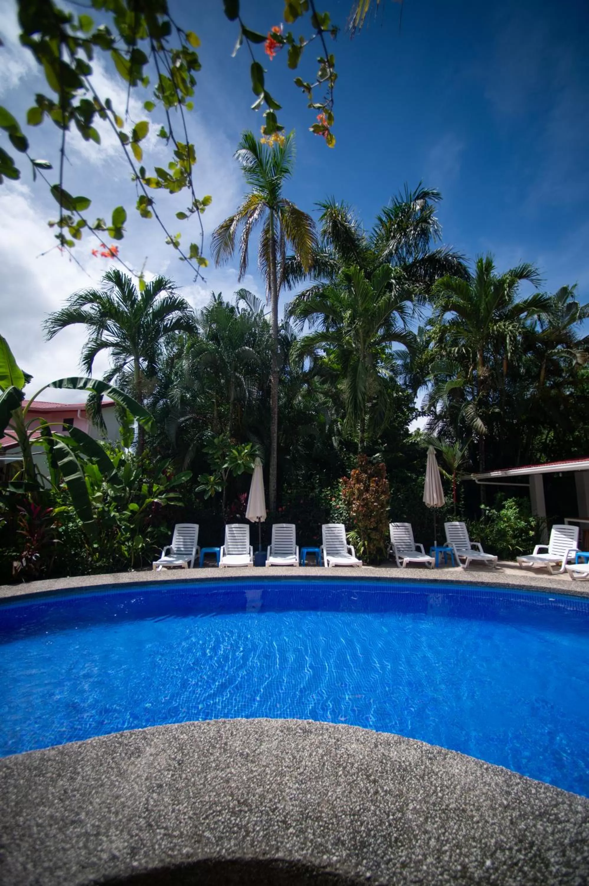 Garden view in La Perlita