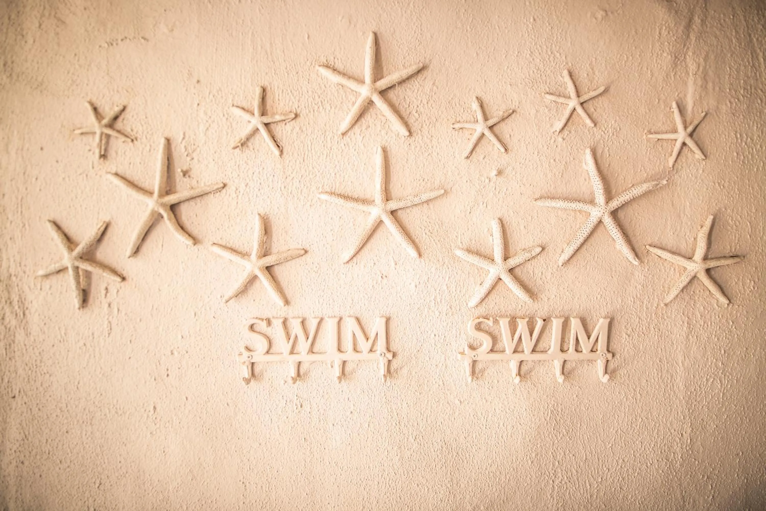 Logo/Certificate/Sign in Point B Guest House -Sustainable Solar Energy