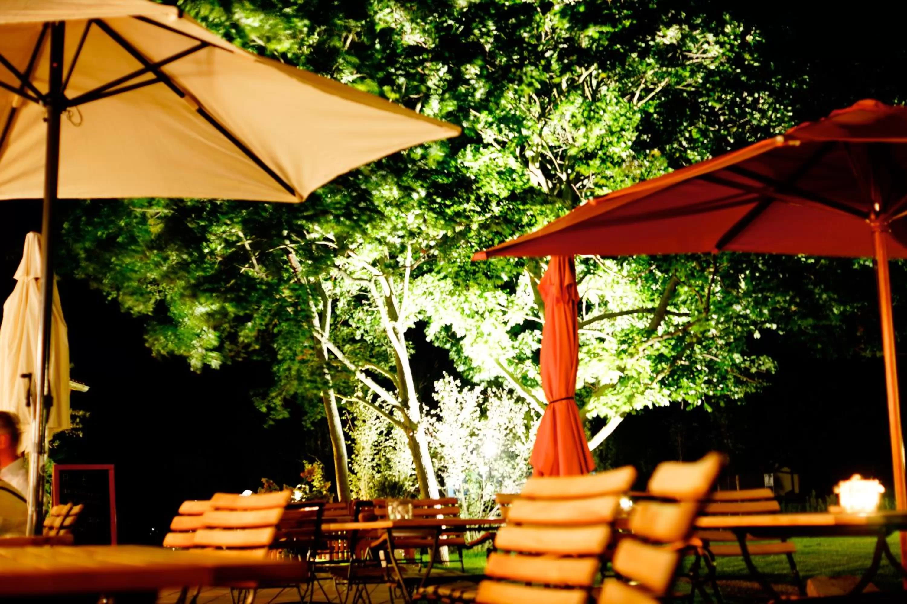 Balcony/Terrace in Hotel Birkenhof