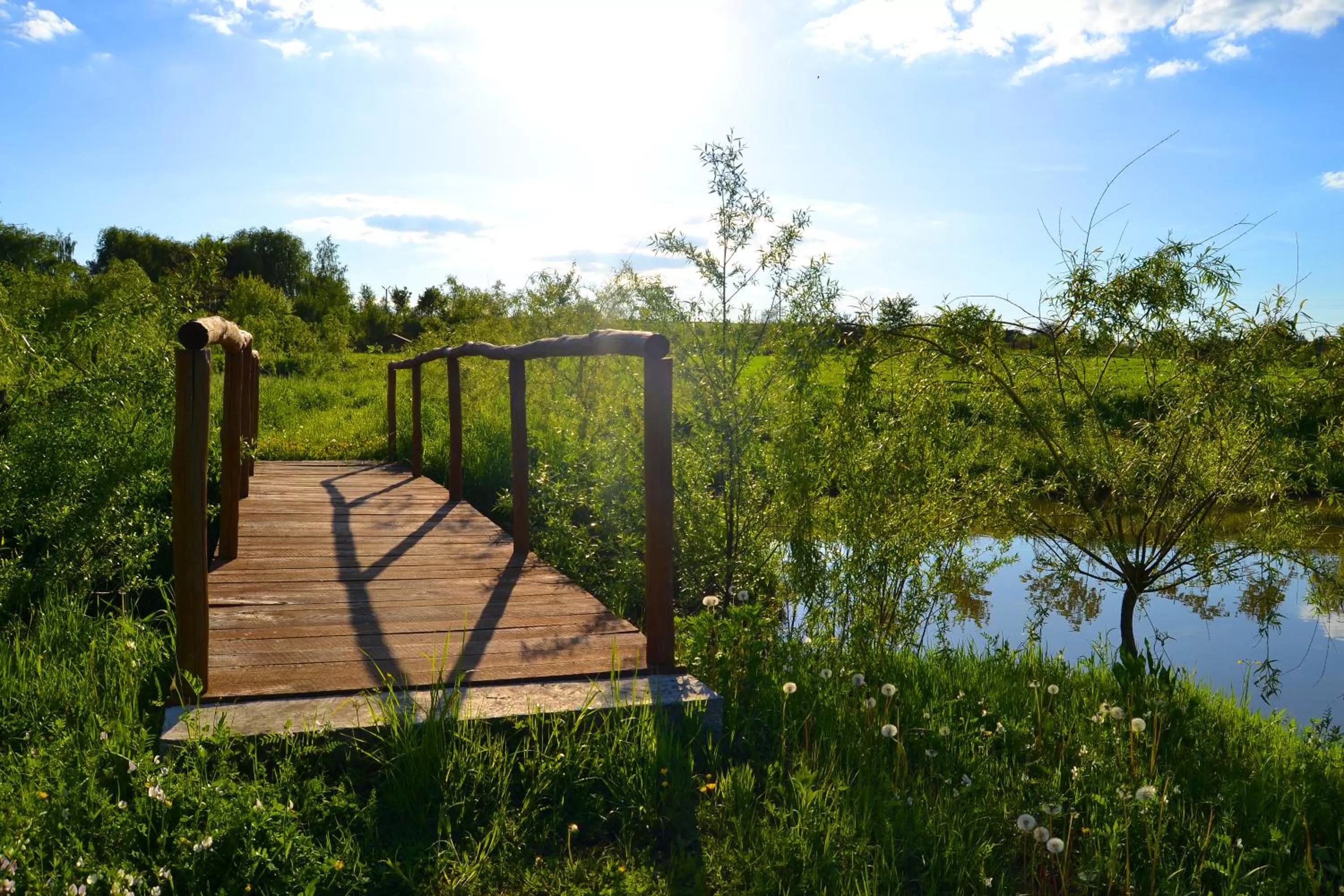 Property building in Hotel Korona