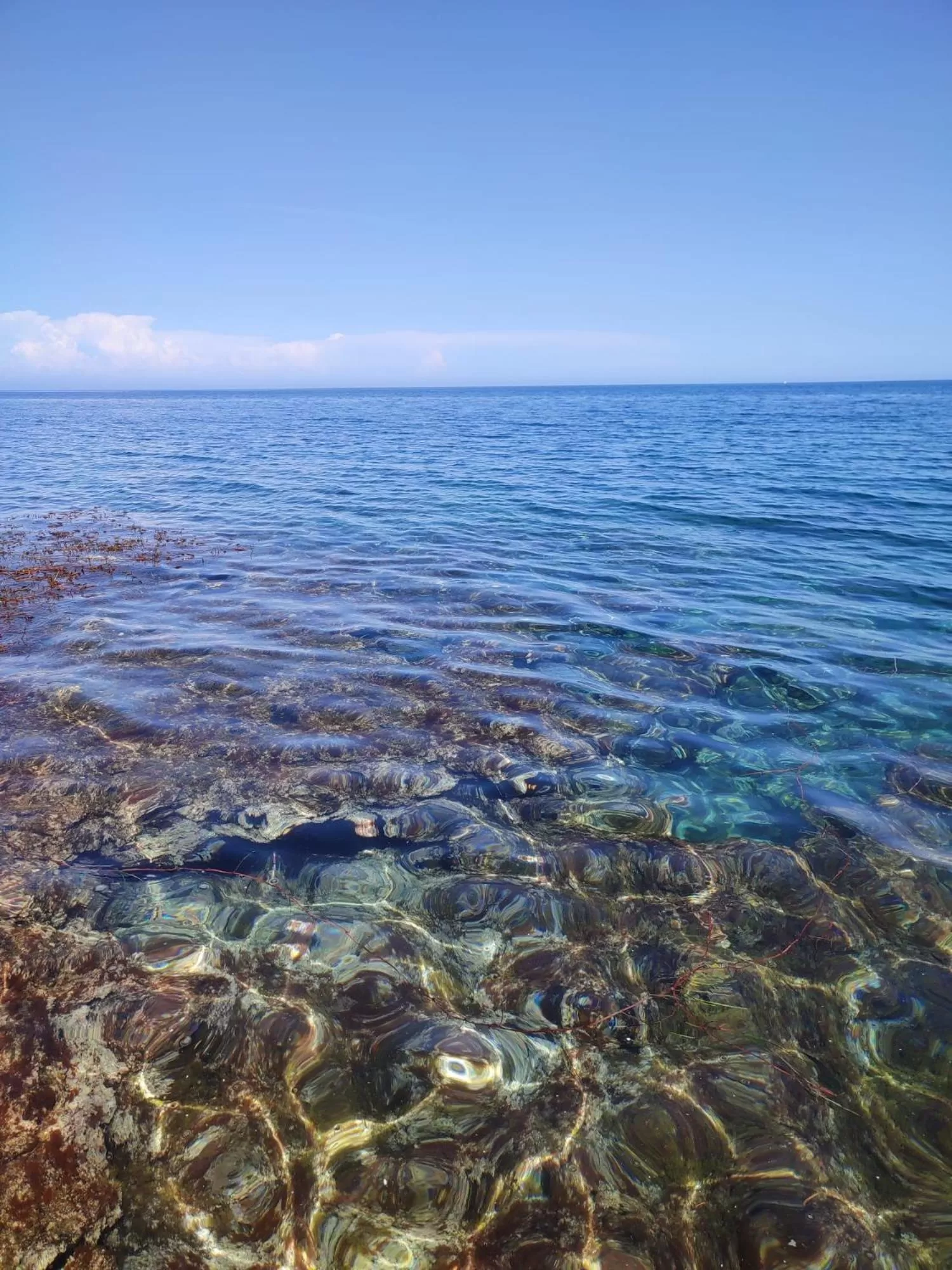 Summer in B&B San Vito