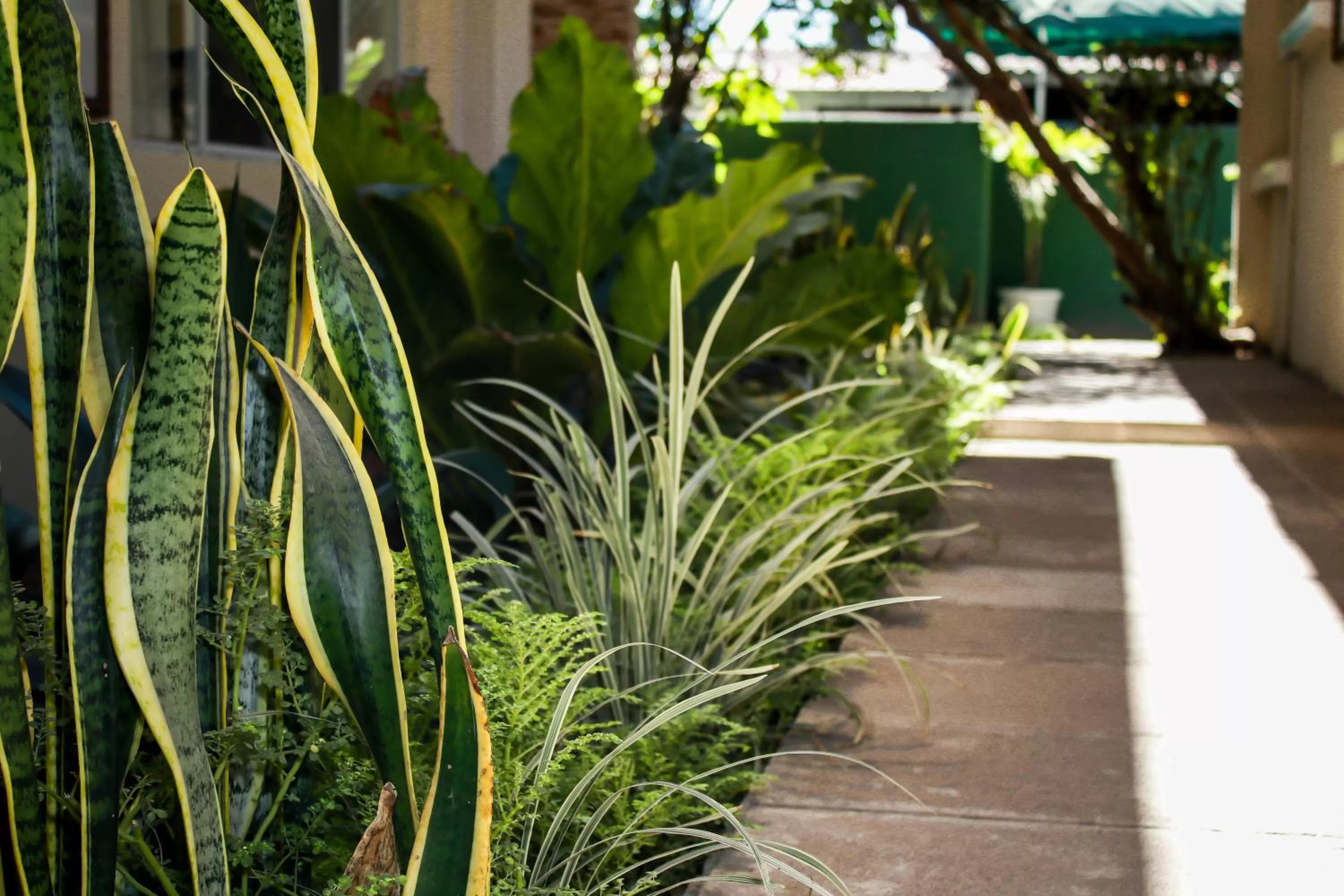 Las Magnolias Hotel Boutique