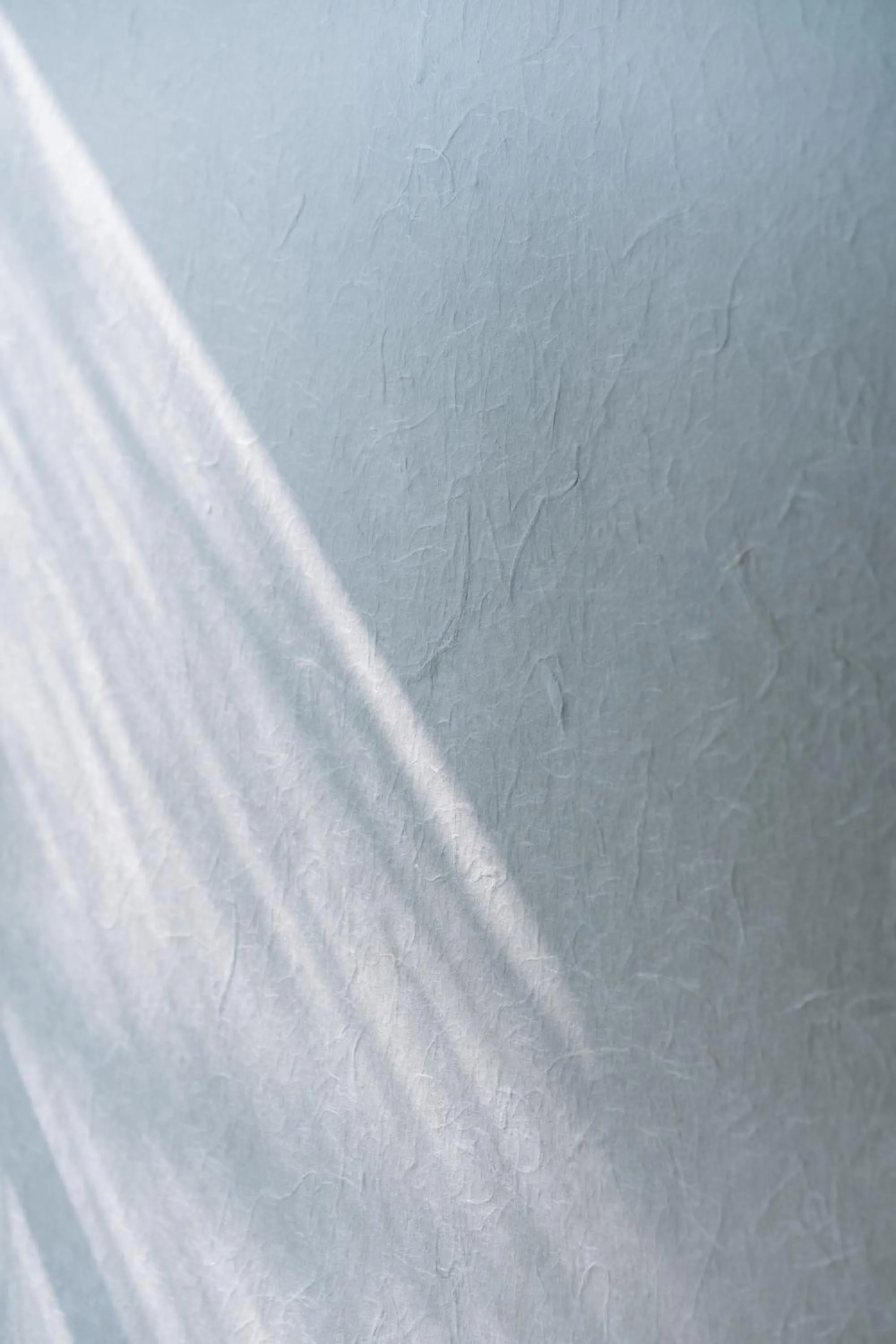 Photo of the whole room in Kyoto Nanzenji Ryokan Yachiyo Established in 1915