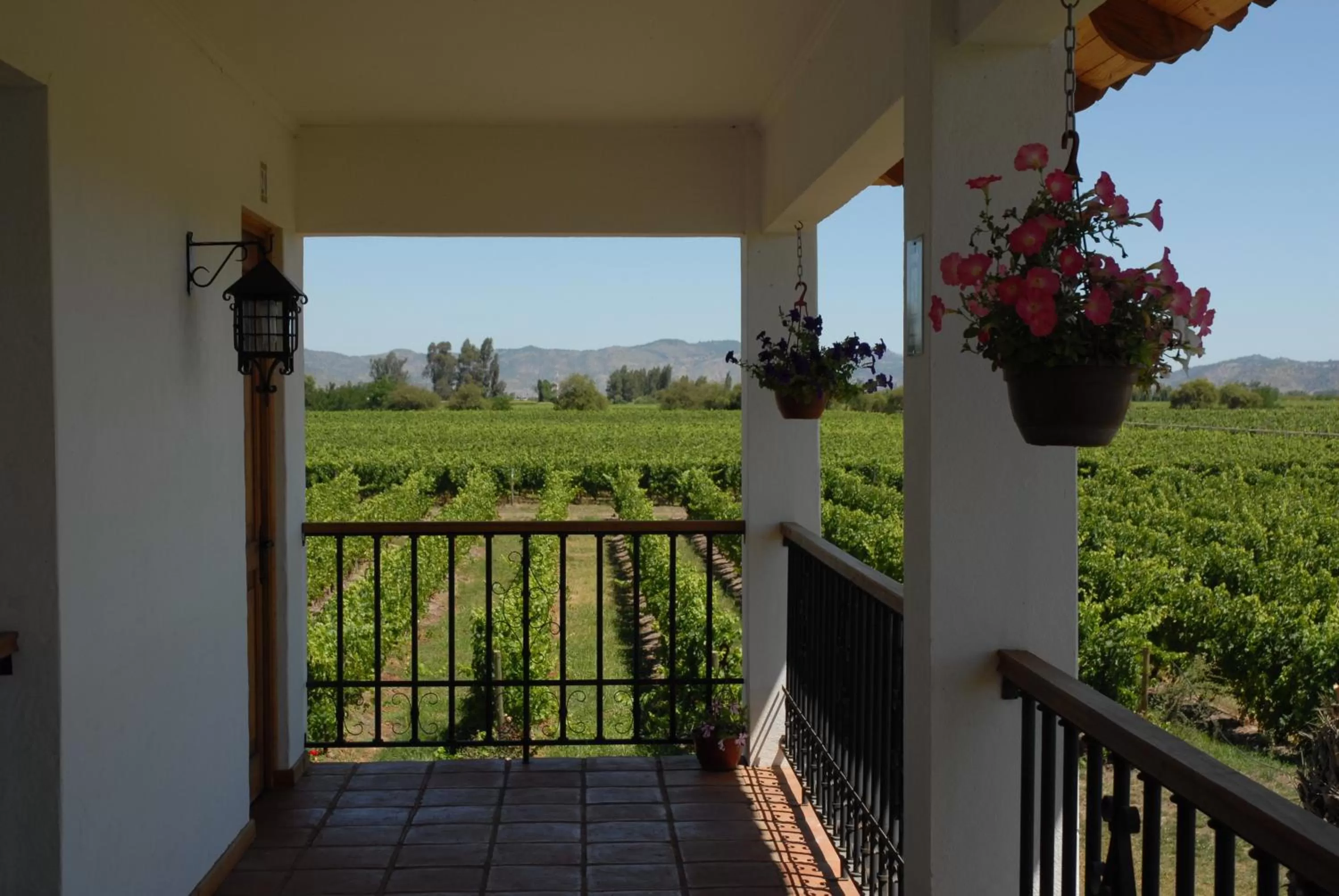 Other in Hotel Terraviña