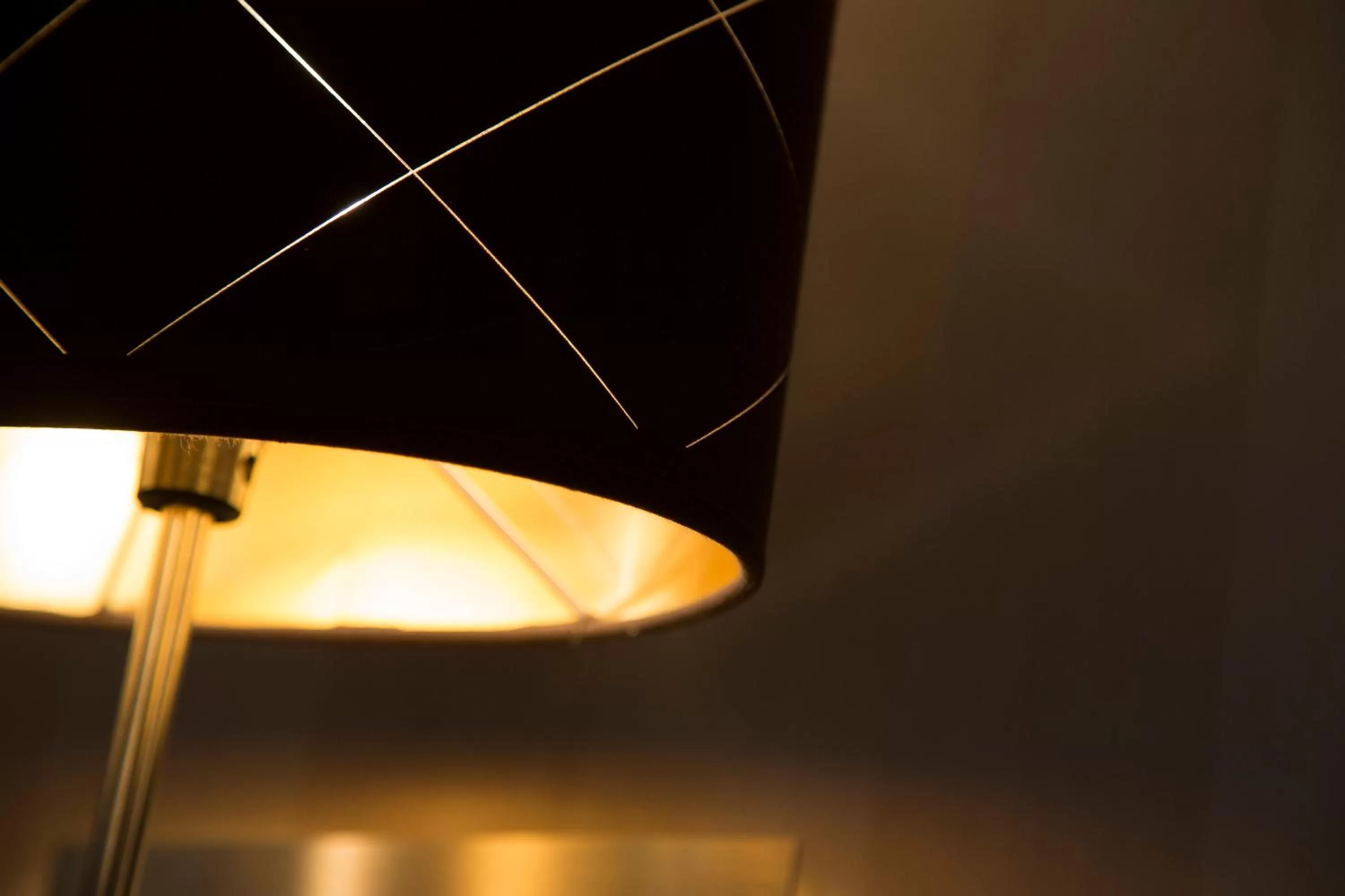 Decorative detail in Hotel Ares Eiffel