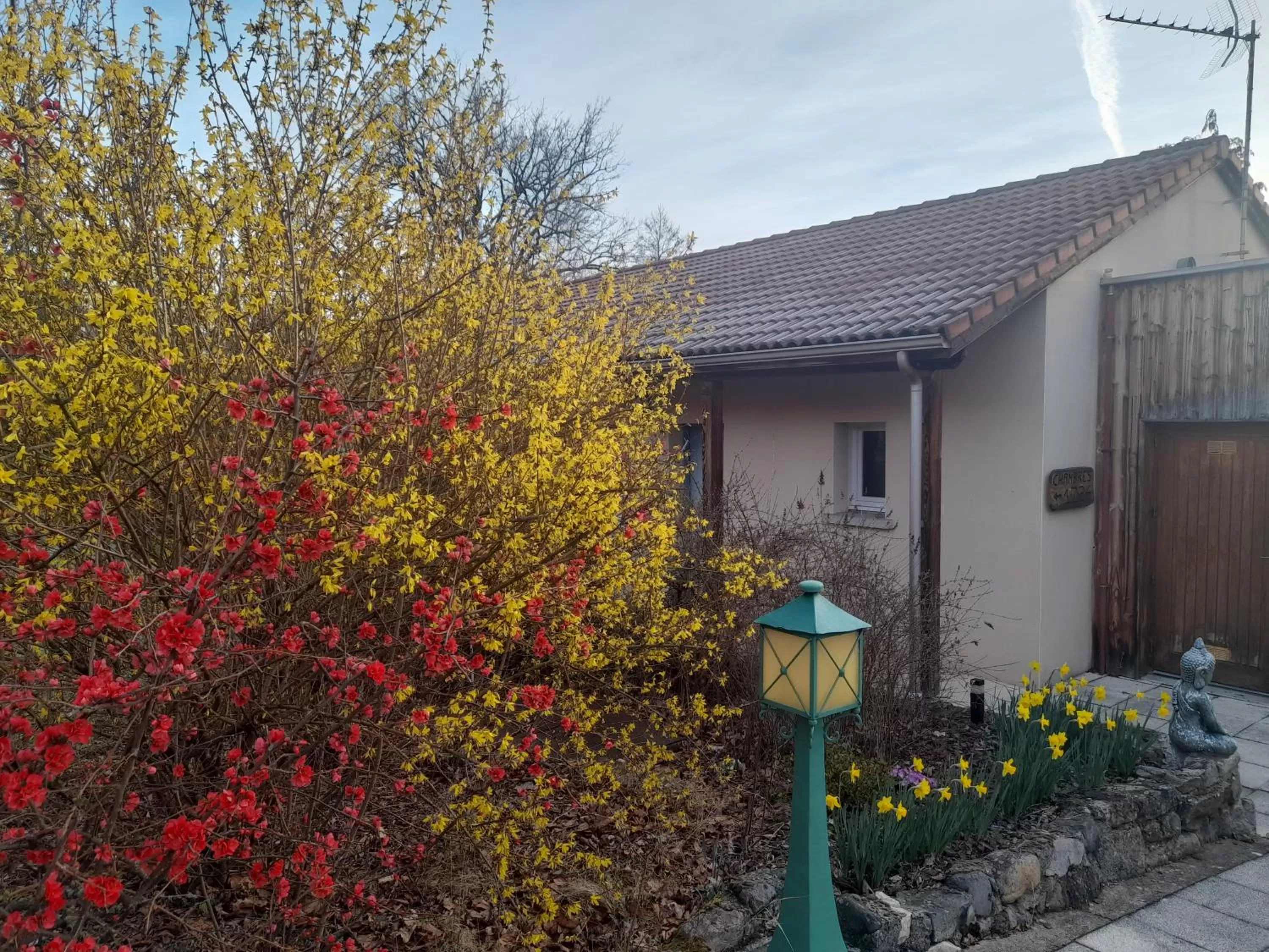 Garden view, Property Building in Hotel de l'Ile d'Amour