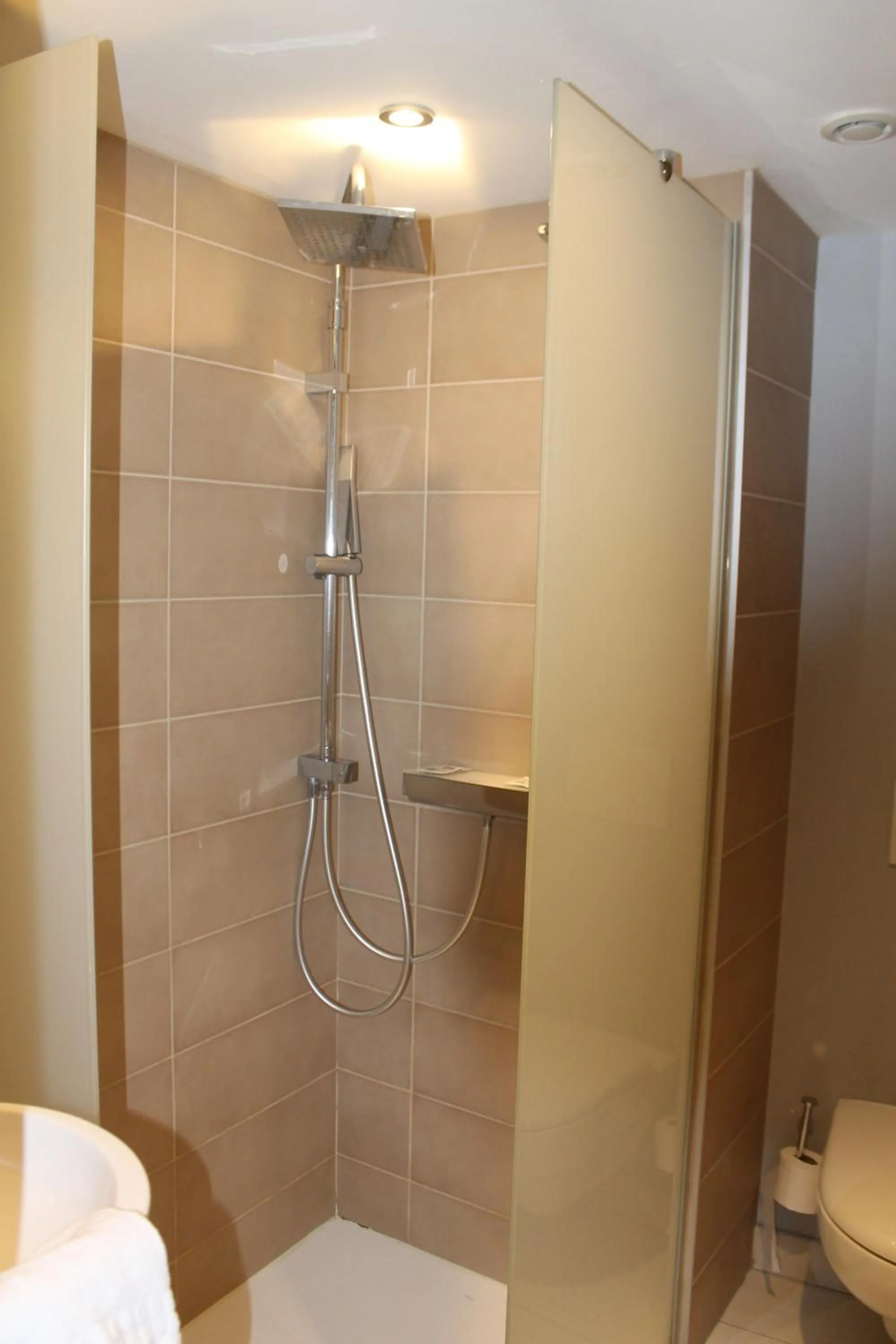 Shower in Hôtel Le Blason
