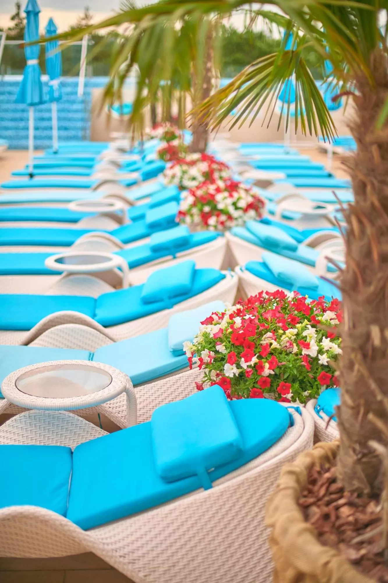 On site in Hotel & Spa NEMO with dolphins