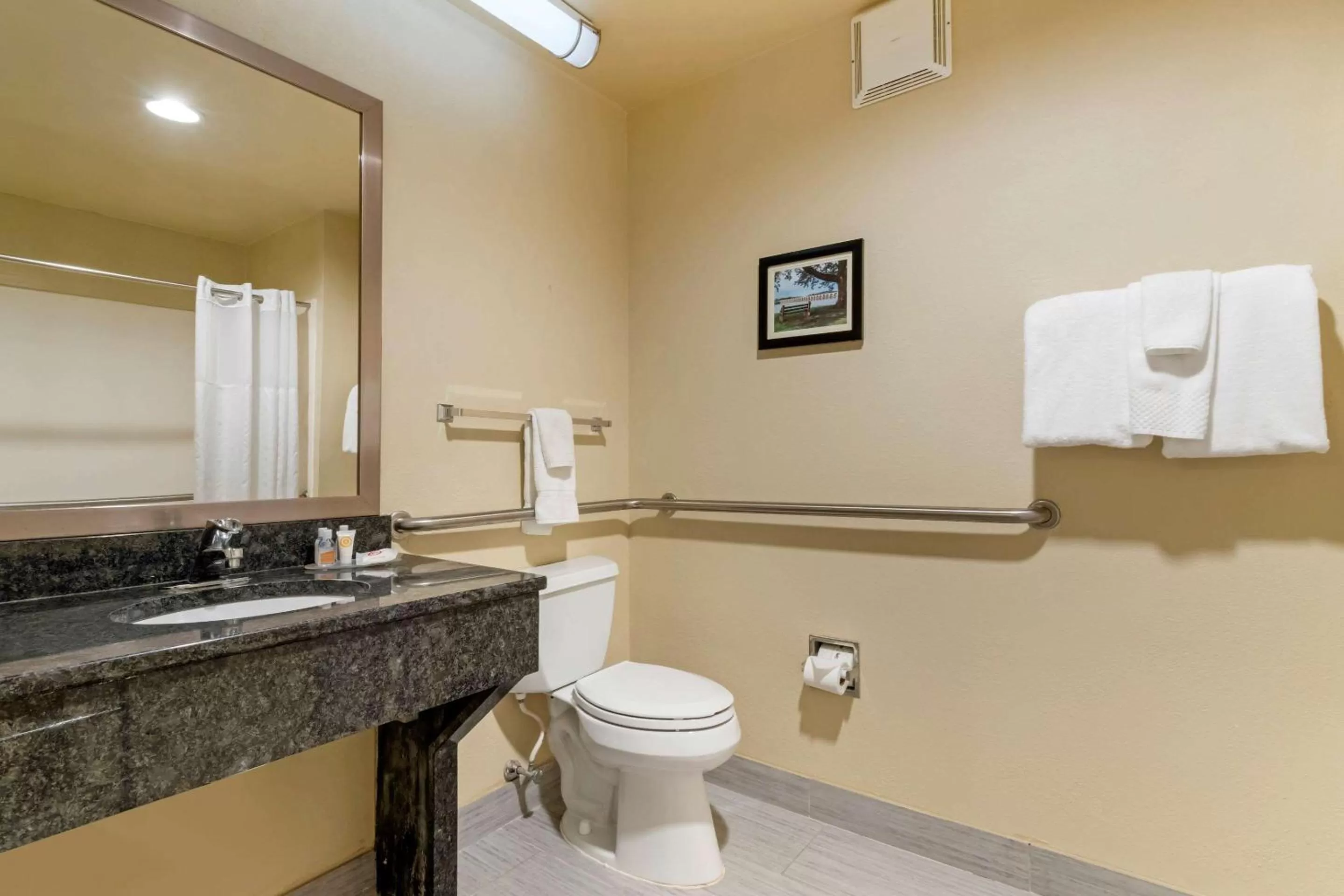 Bathroom in Comfort Inn Mechanicsburg - Harrisburg South
