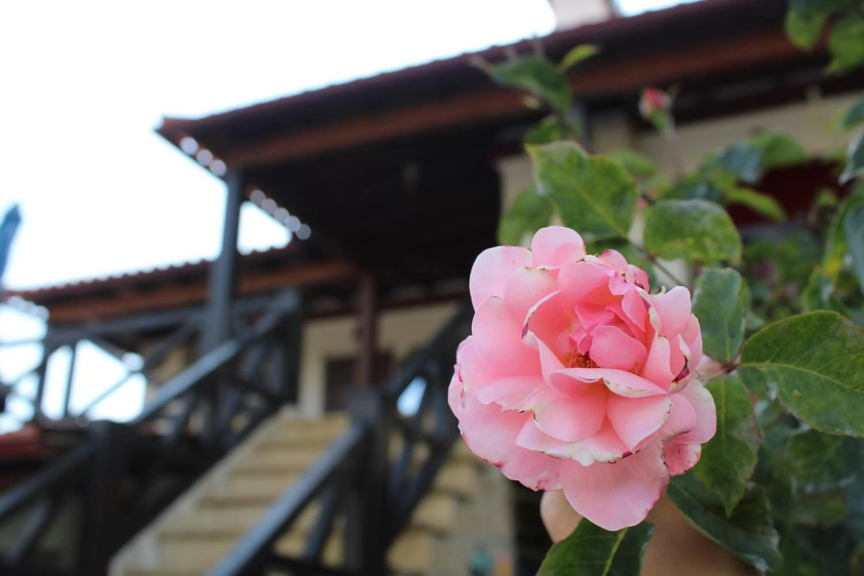 Casa da Aldeia da Avó