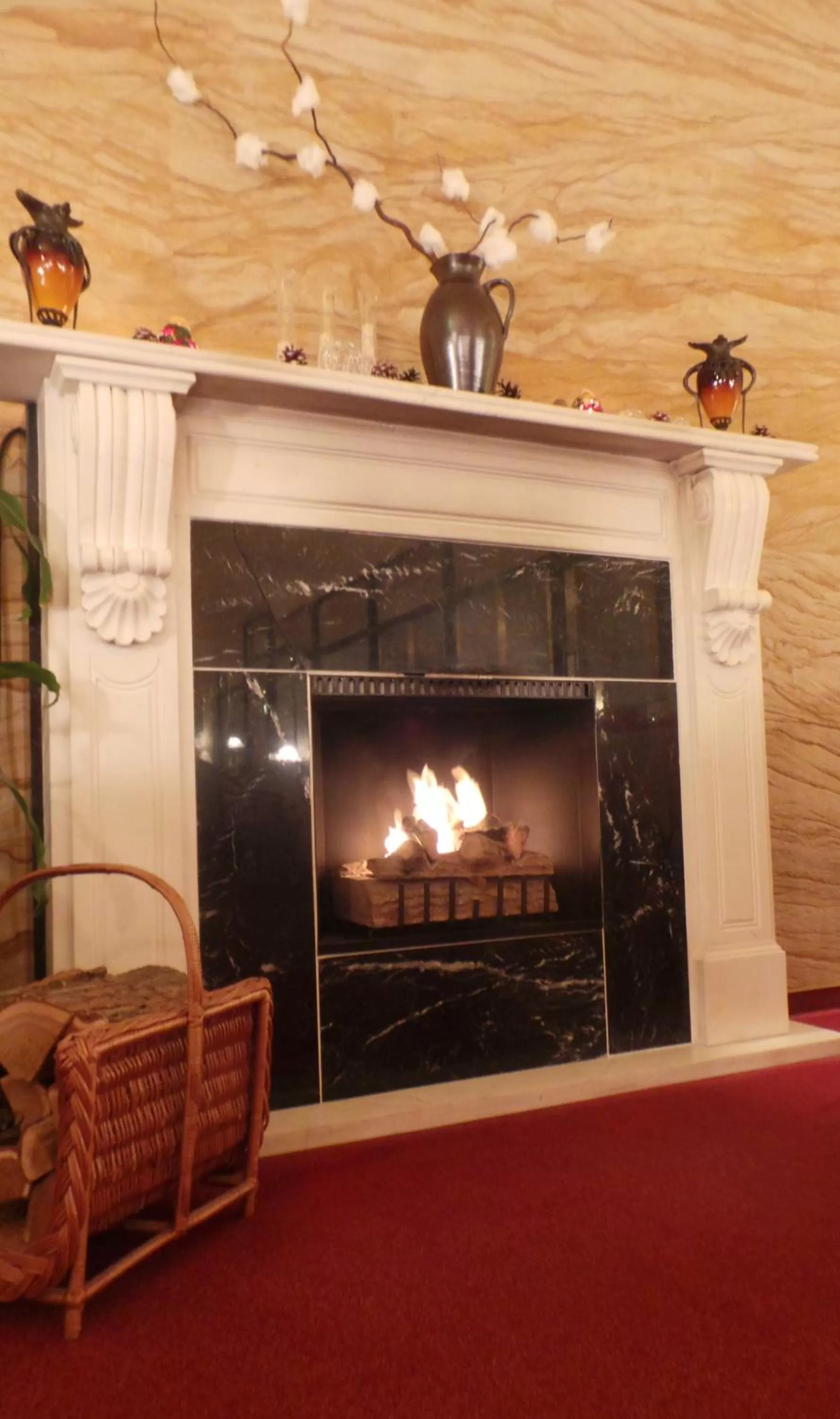 Restaurant/places to eat in Hotel Balneolum Superior