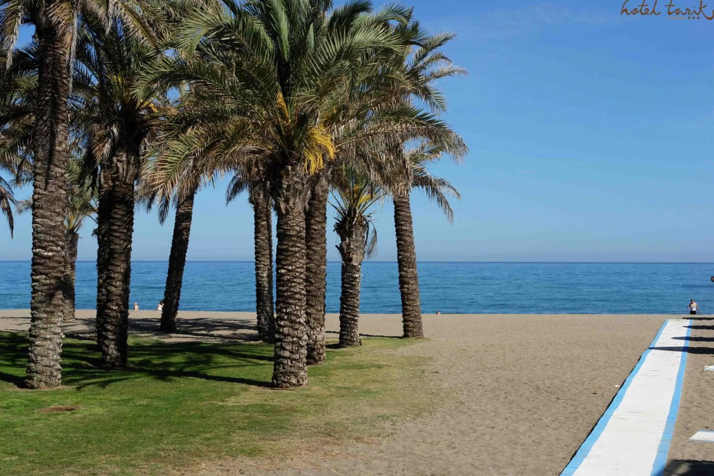 Beach in Hotel Tarik