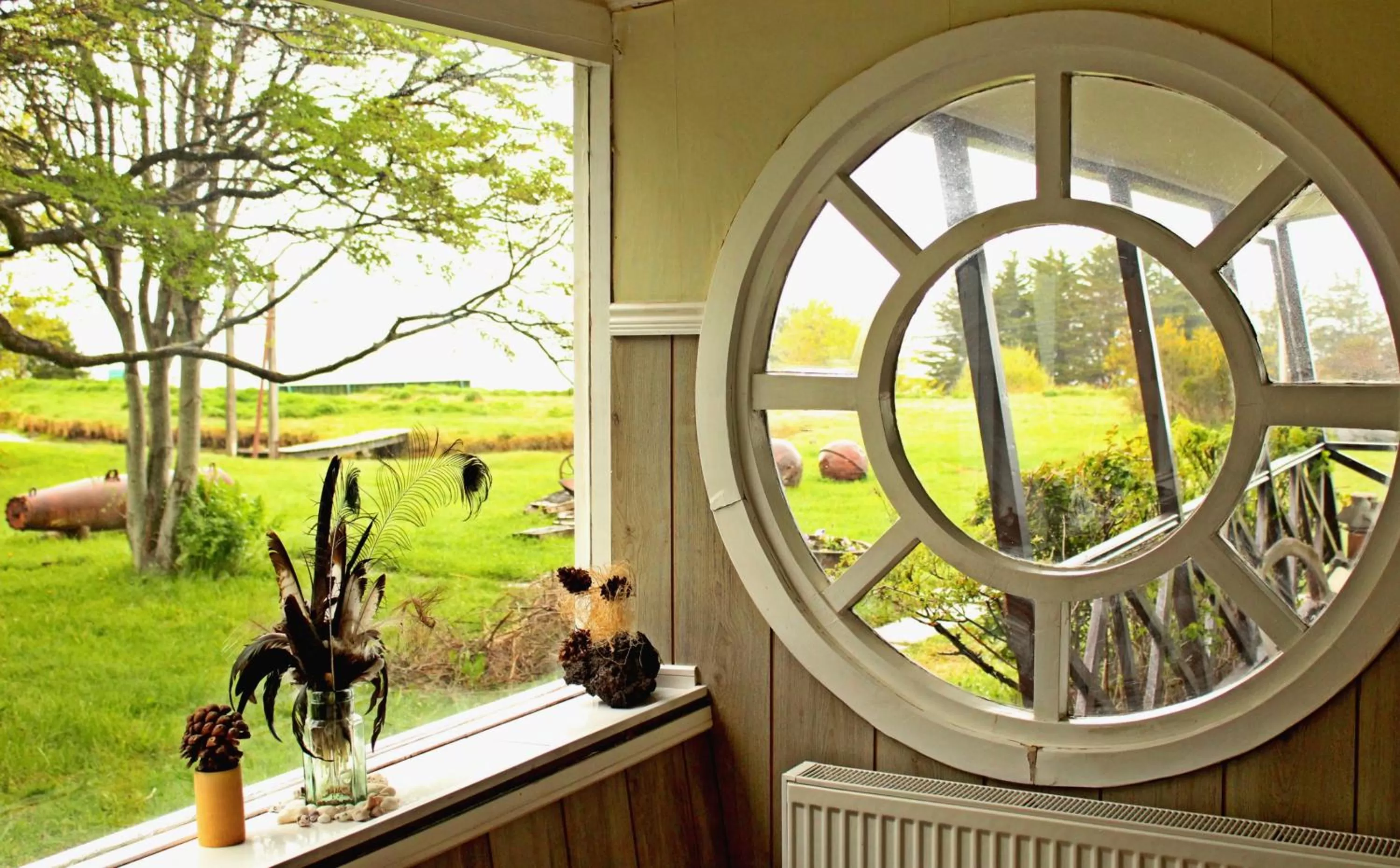 Garden in Hospedaje Isla Magdalena