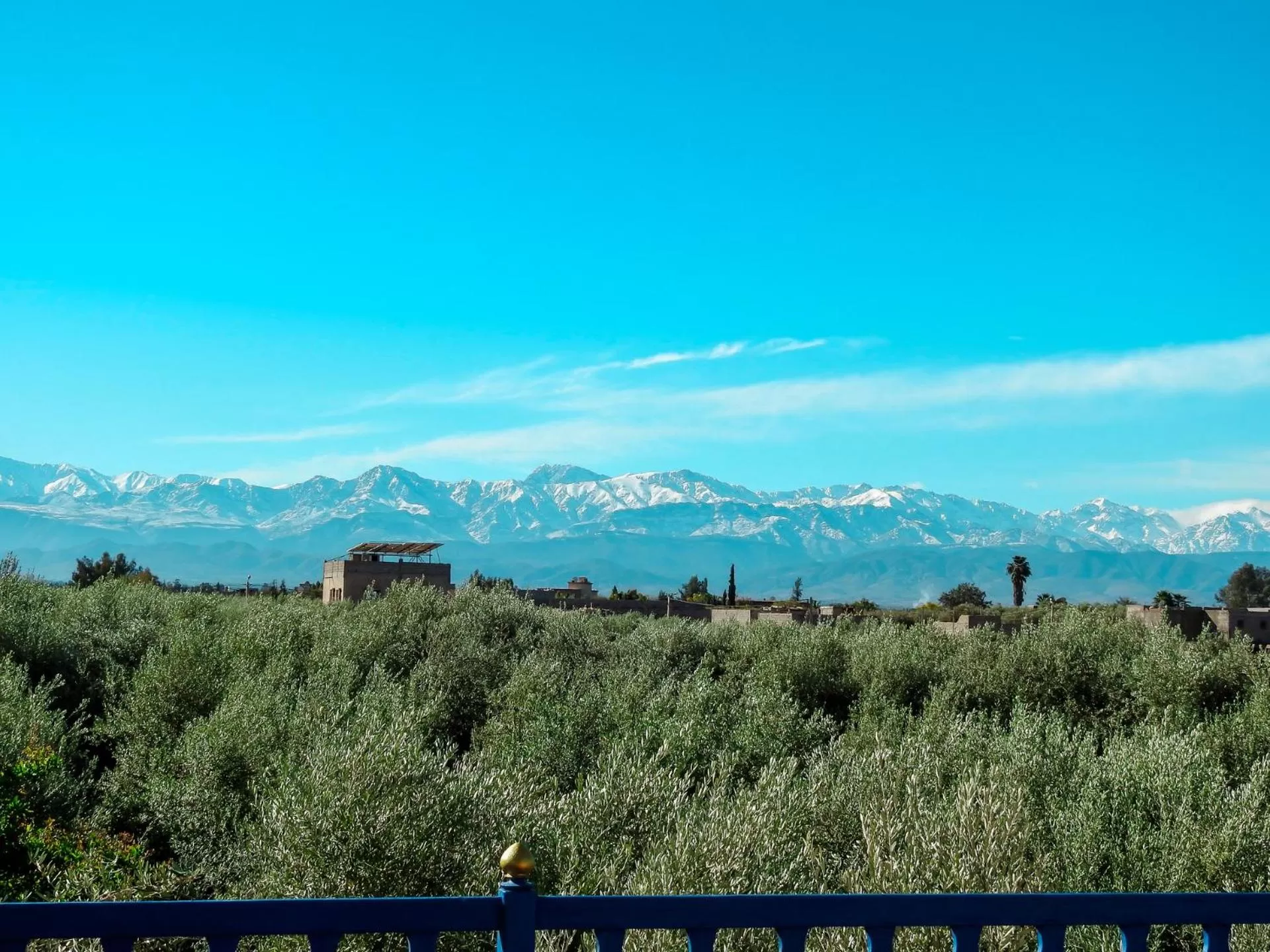 Natural landscape in Le Bleu House