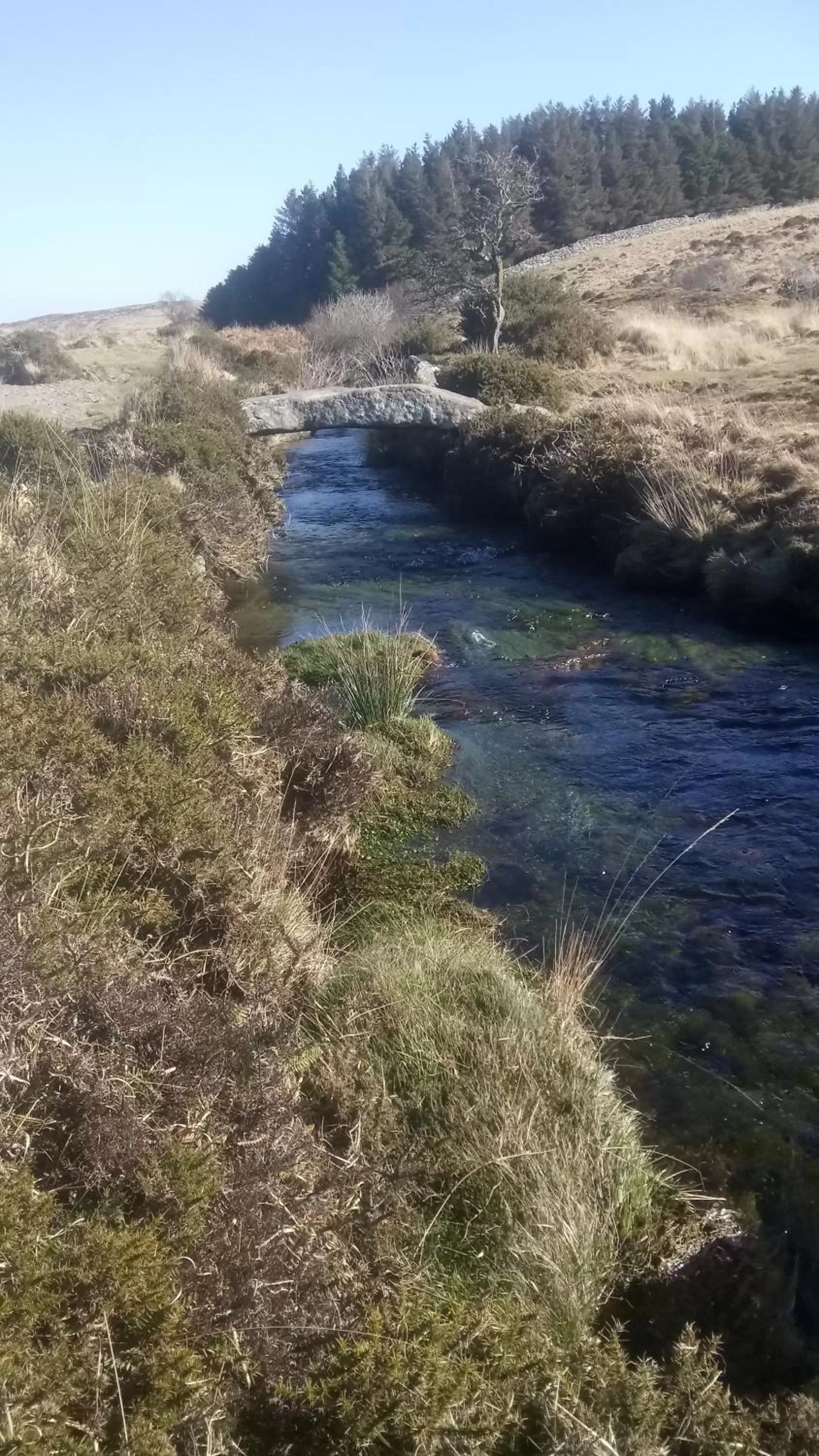 Natural landscape in Claw House