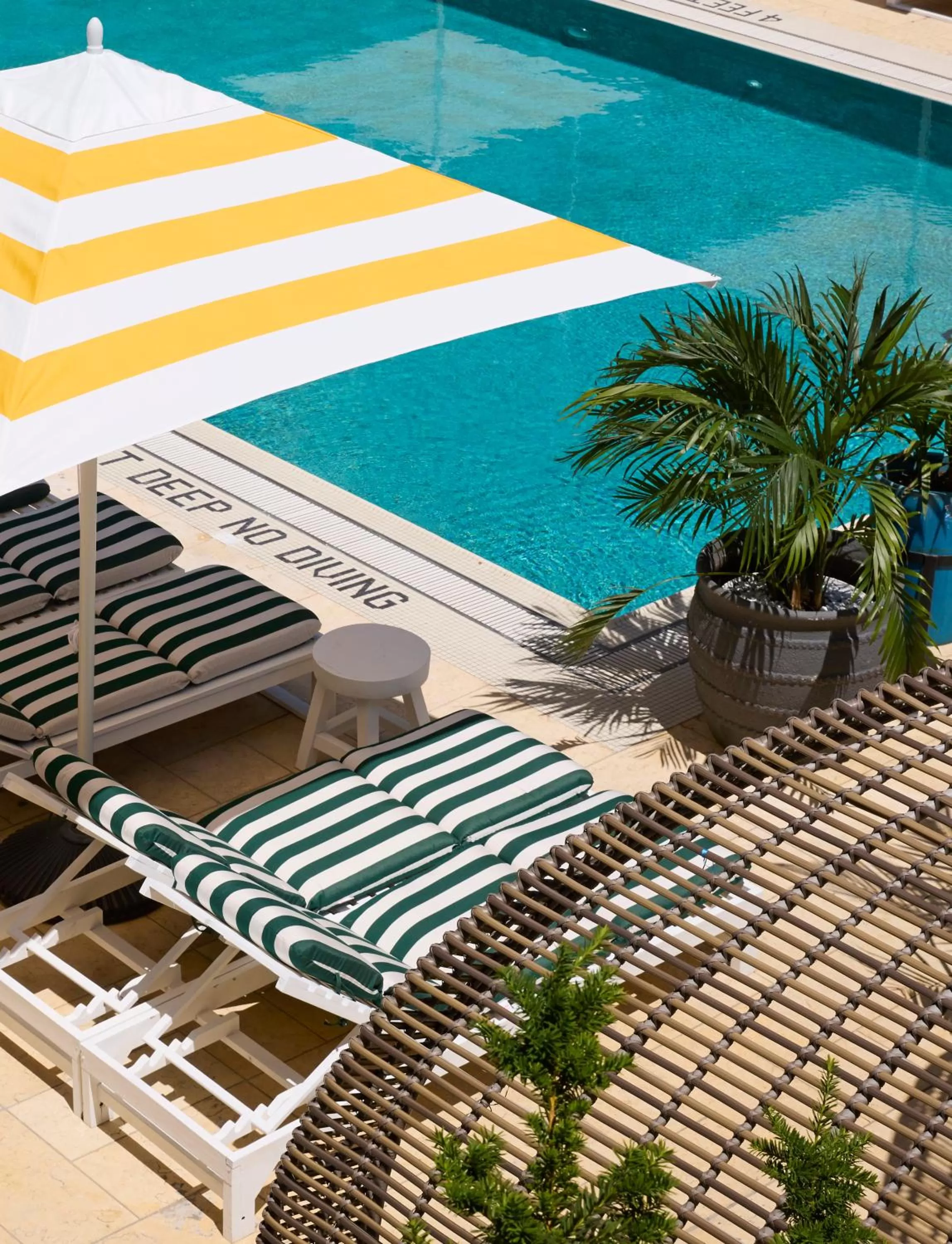 Swimming pool in CODA Williamsburg