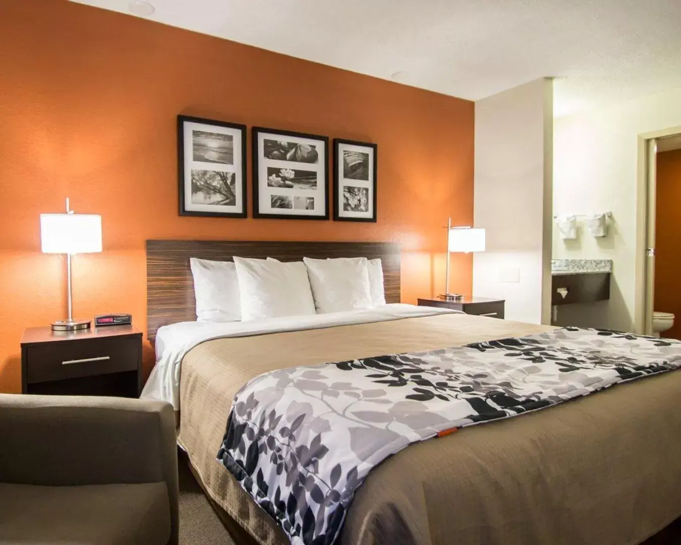 Queen Room - Disability Access/Non-Smoking in Sleep Inn Ormond Beach - Daytona Queen Room - Disability Access/Non-Smoking in Sleep Inn Ormond Beach - Daytona