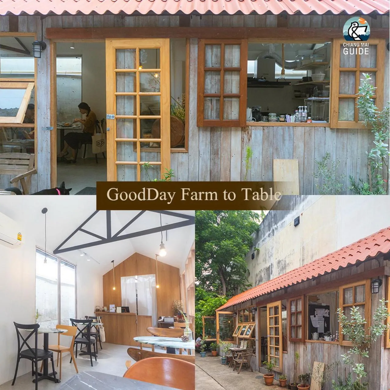 Restaurant/places to eat in What's Up Chiang Mai