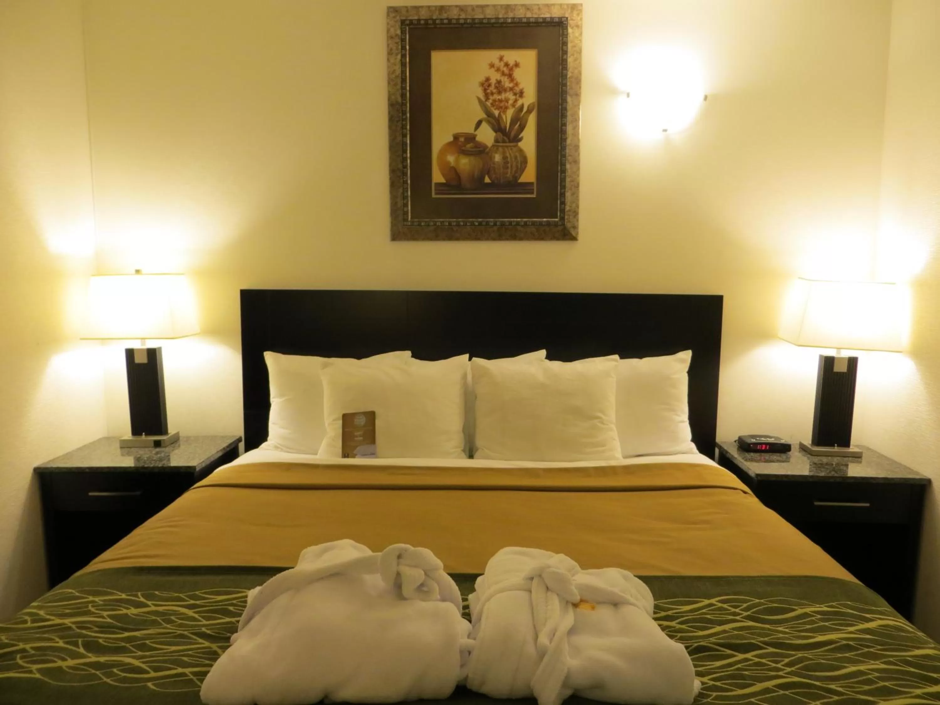 King Jacuzzi Suite - Non-Smoking in Comfort Inn & Suites